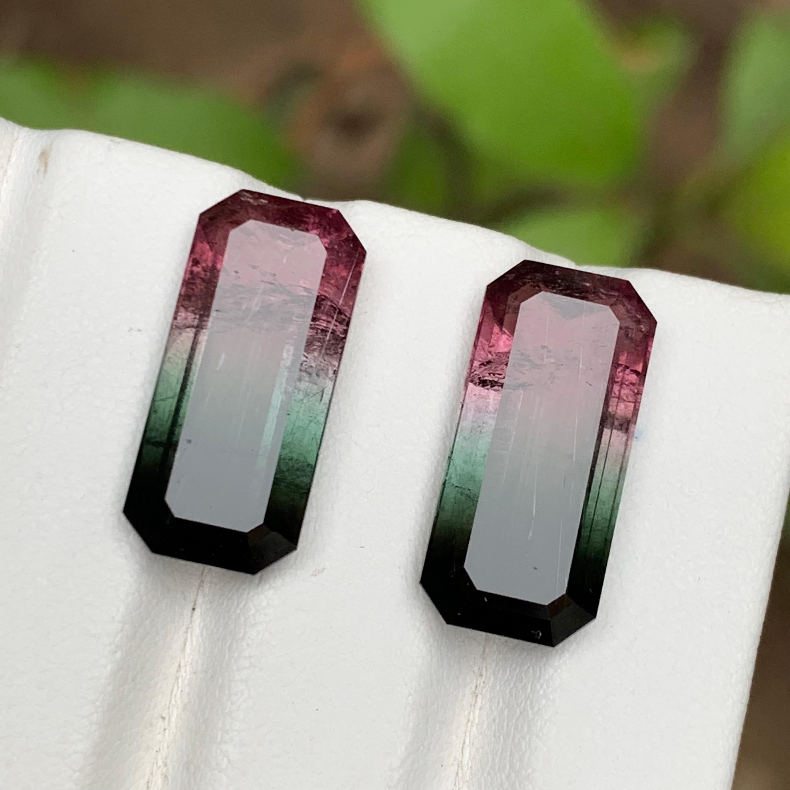 Paire de tourmalines naturelles bicolores rose melon et noires, 19.05 carats en vente 3