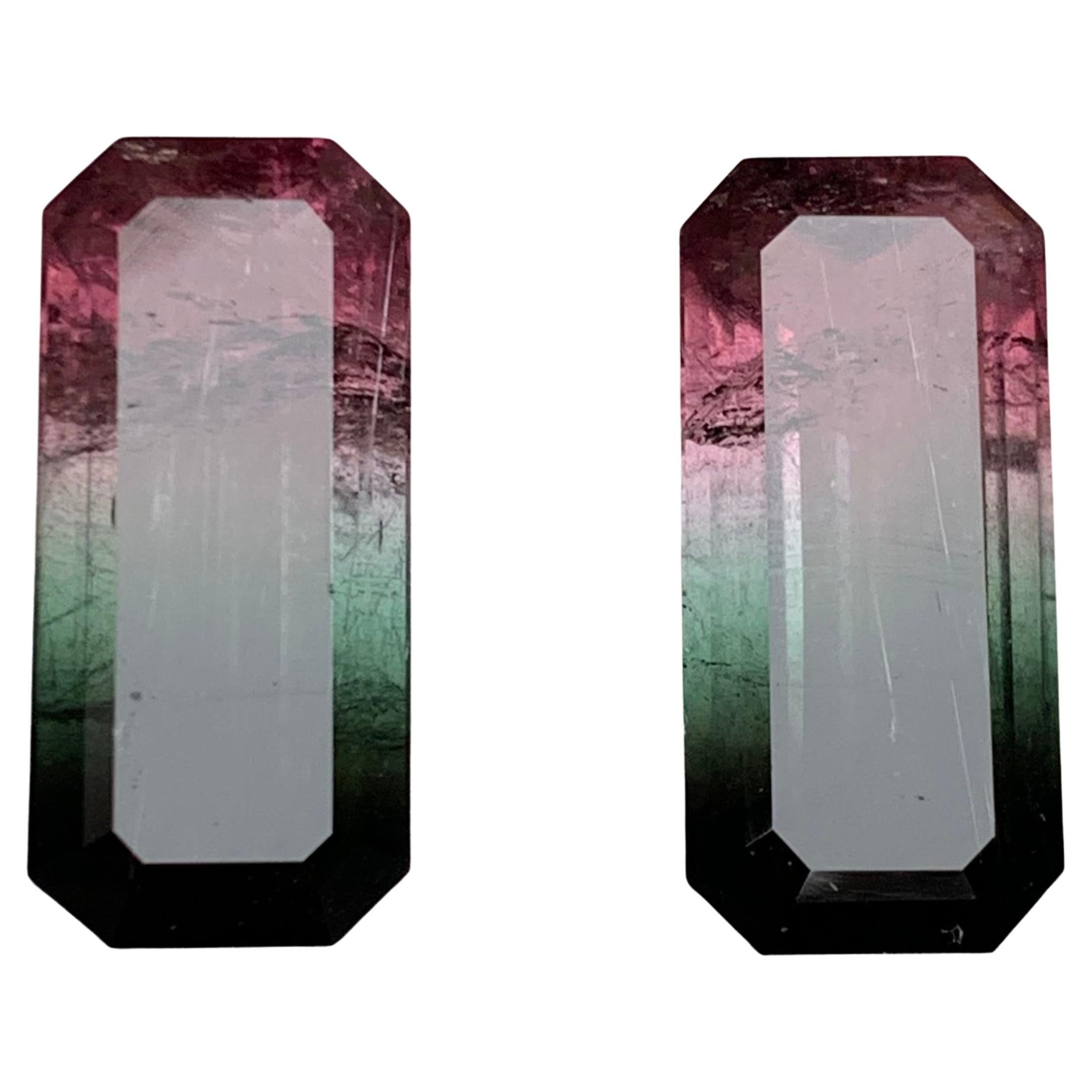Watermelon Pink Black Bicolor Natural Tourmaline Loose Gemstones Pair 19.05 Ct