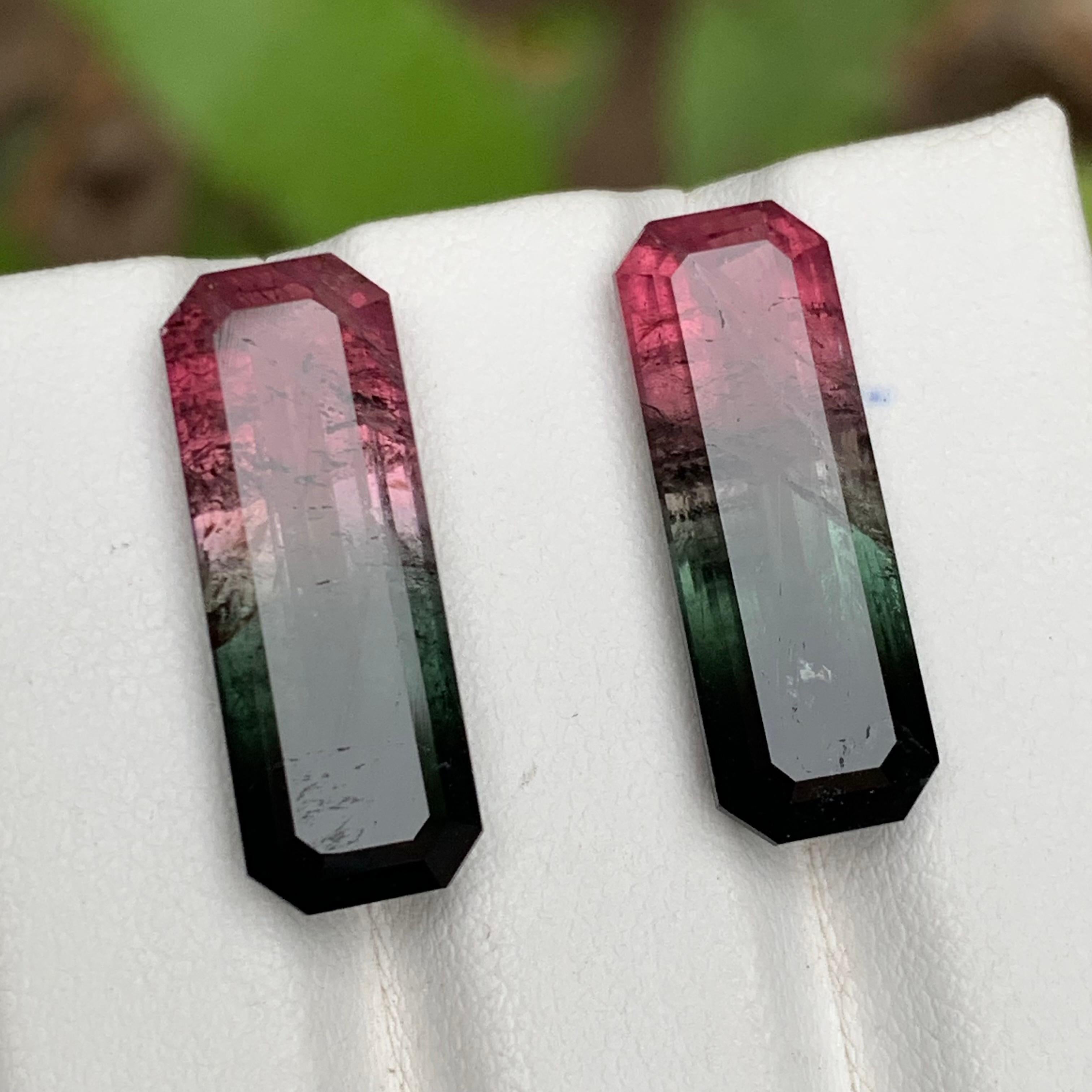 Watermelon Pink Black Bicolor Natural Tourmaline Loose Gemstones Pair 21.75 Ct For Sale 4