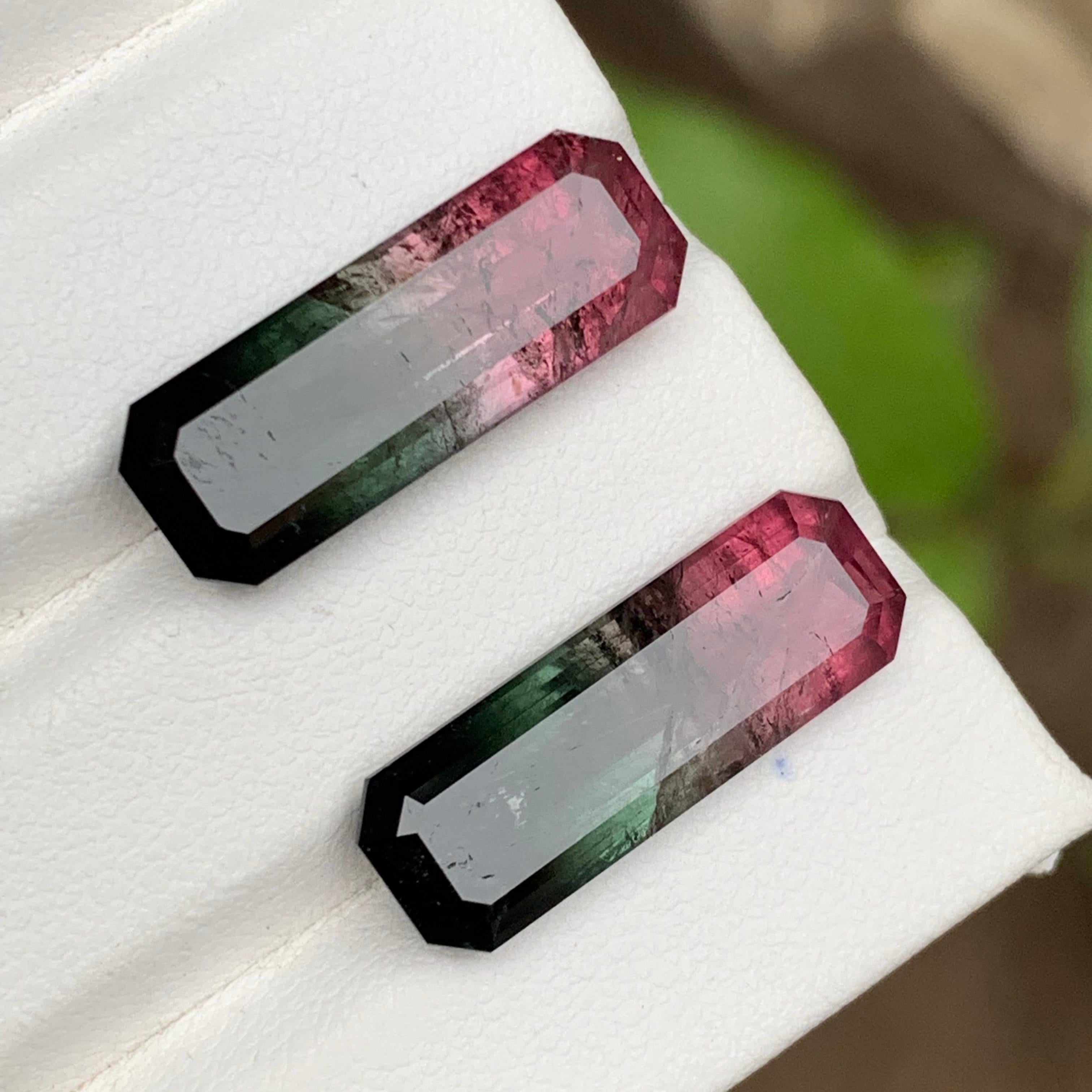 Watermelon Pink Black Bicolor Natural Tourmaline Loose Gemstones Pair 21.75 Ct For Sale 5