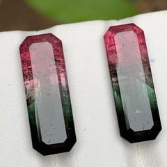 Watermelon Pink Black Bicolor Natural Tourmaline Loose Gemstones Pair 21.75 Ct