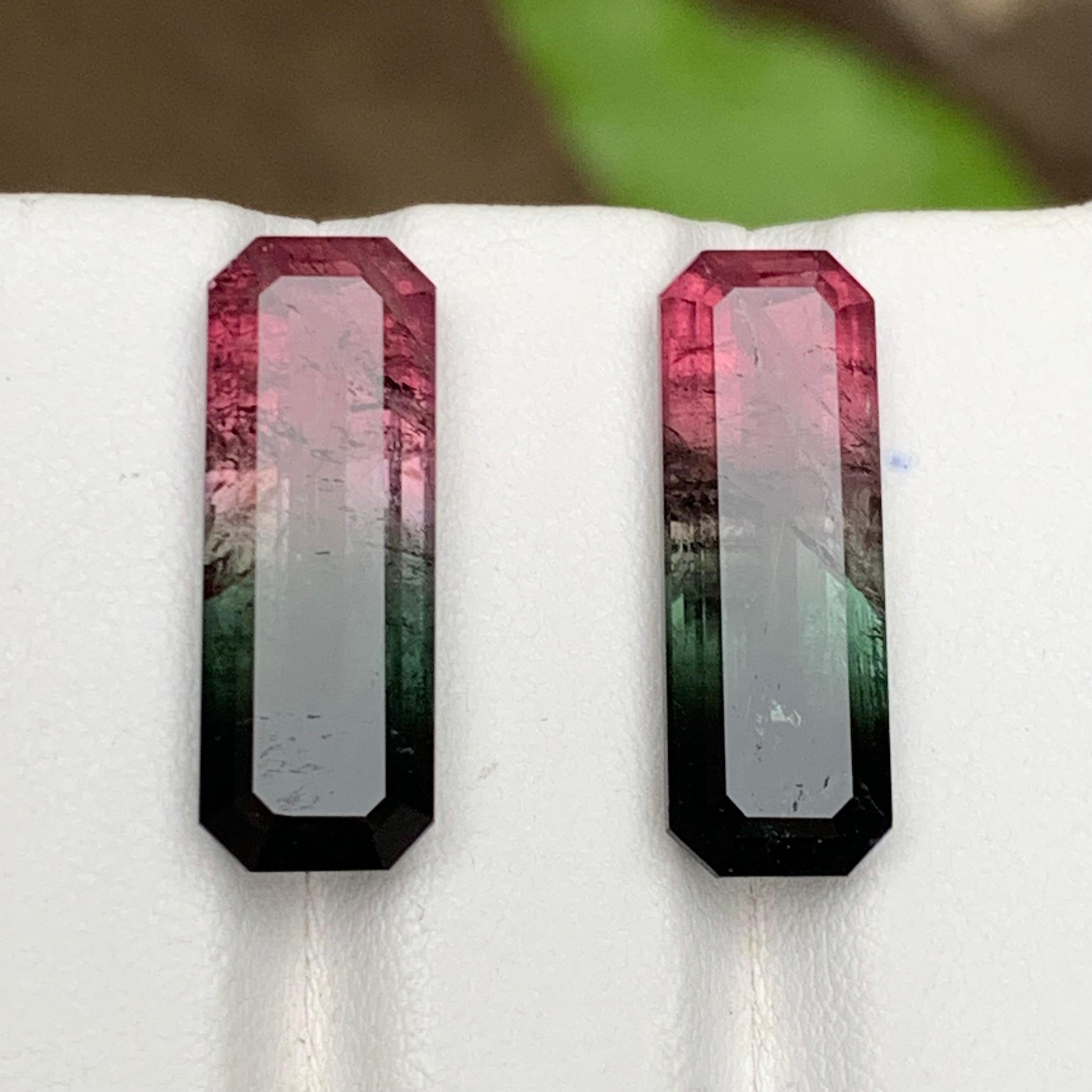 Women's or Men's Watermelon Pink Black Bicolor Natural Tourmaline Loose Gemstones Pair 21.75 Ct For Sale