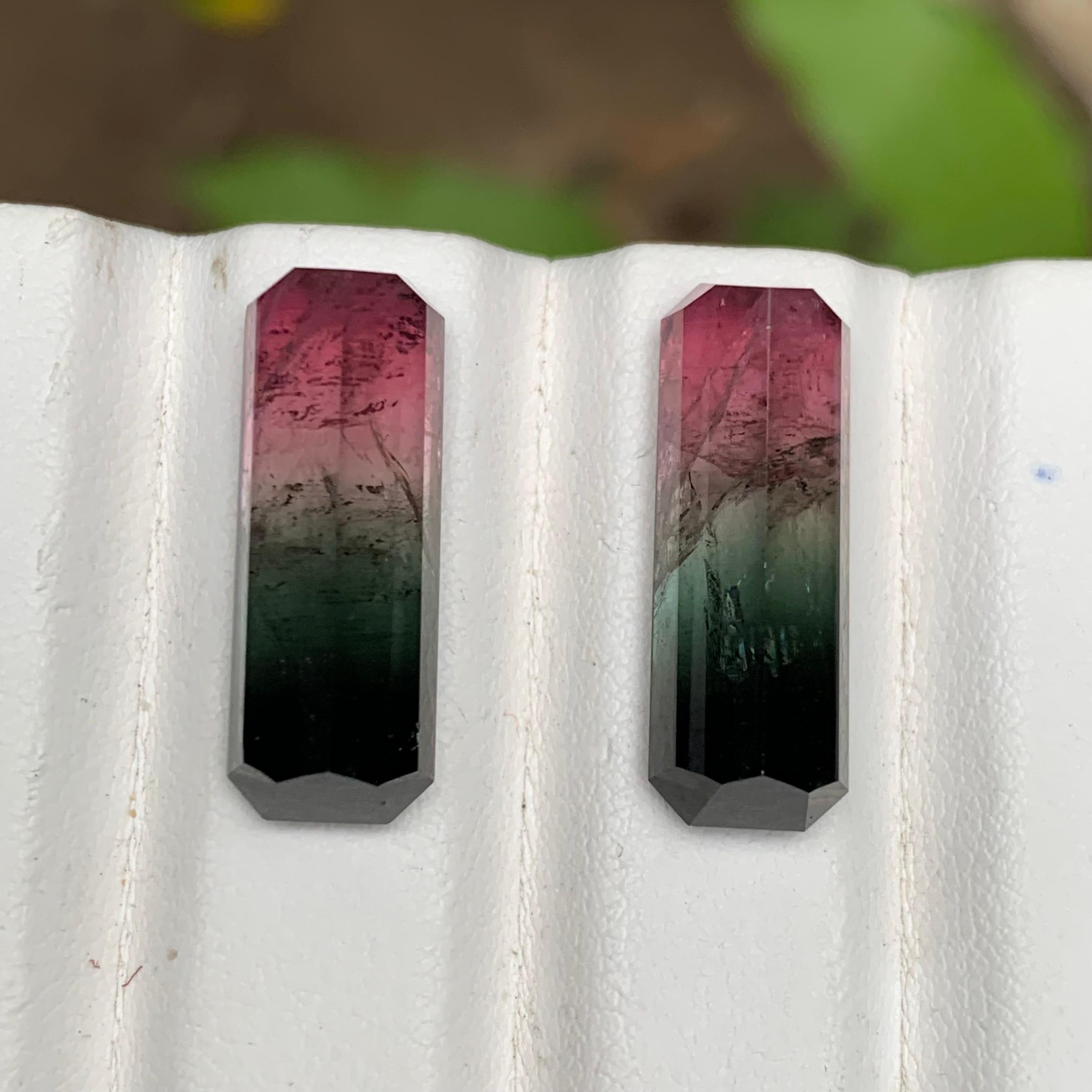 Watermelon Pink Black Bicolor Natural Tourmaline Loose Gemstones Pair 21.75 Ct For Sale 1