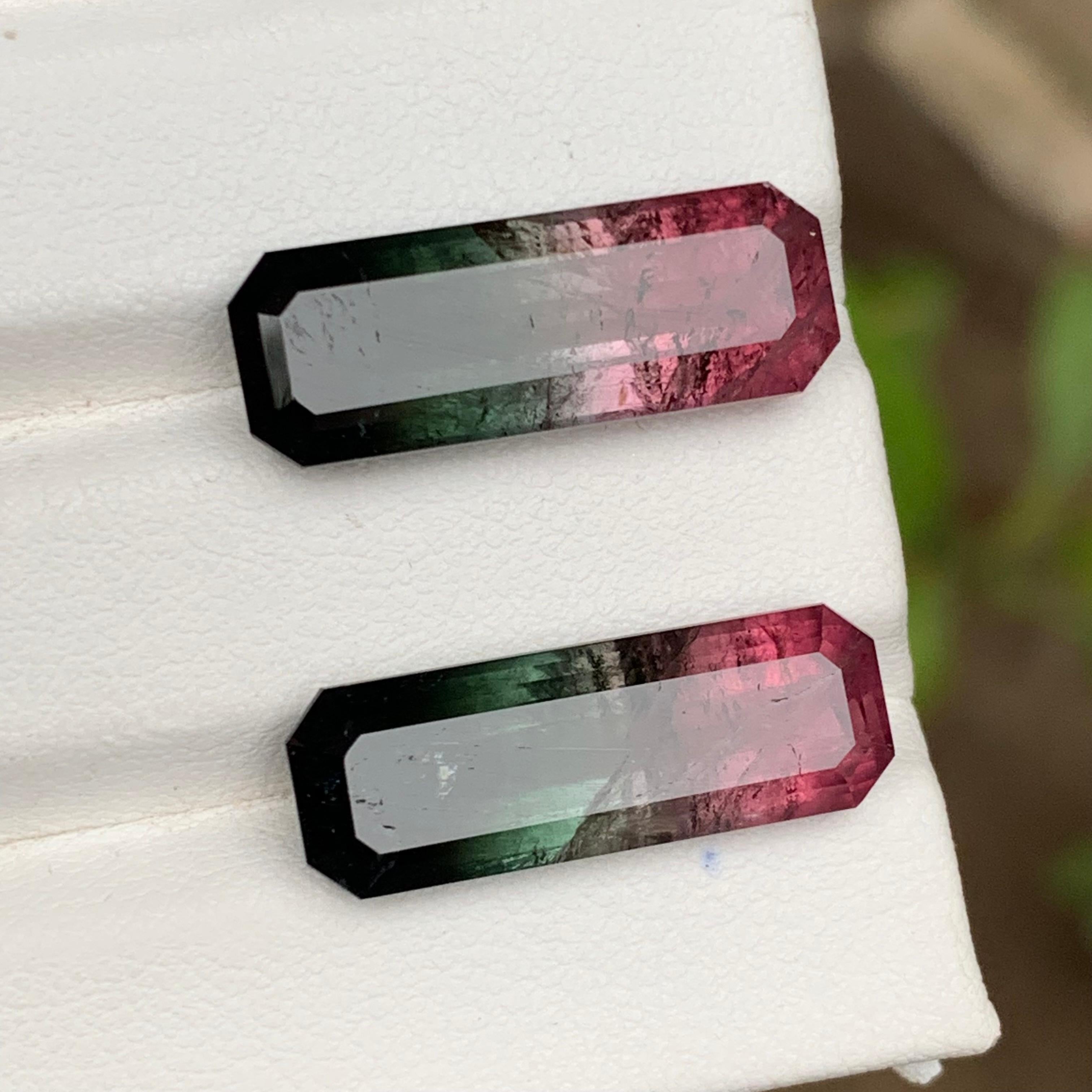 Watermelon Pink Black Bicolor Natural Tourmaline Loose Gemstones Pair 21.75 Ct For Sale 2