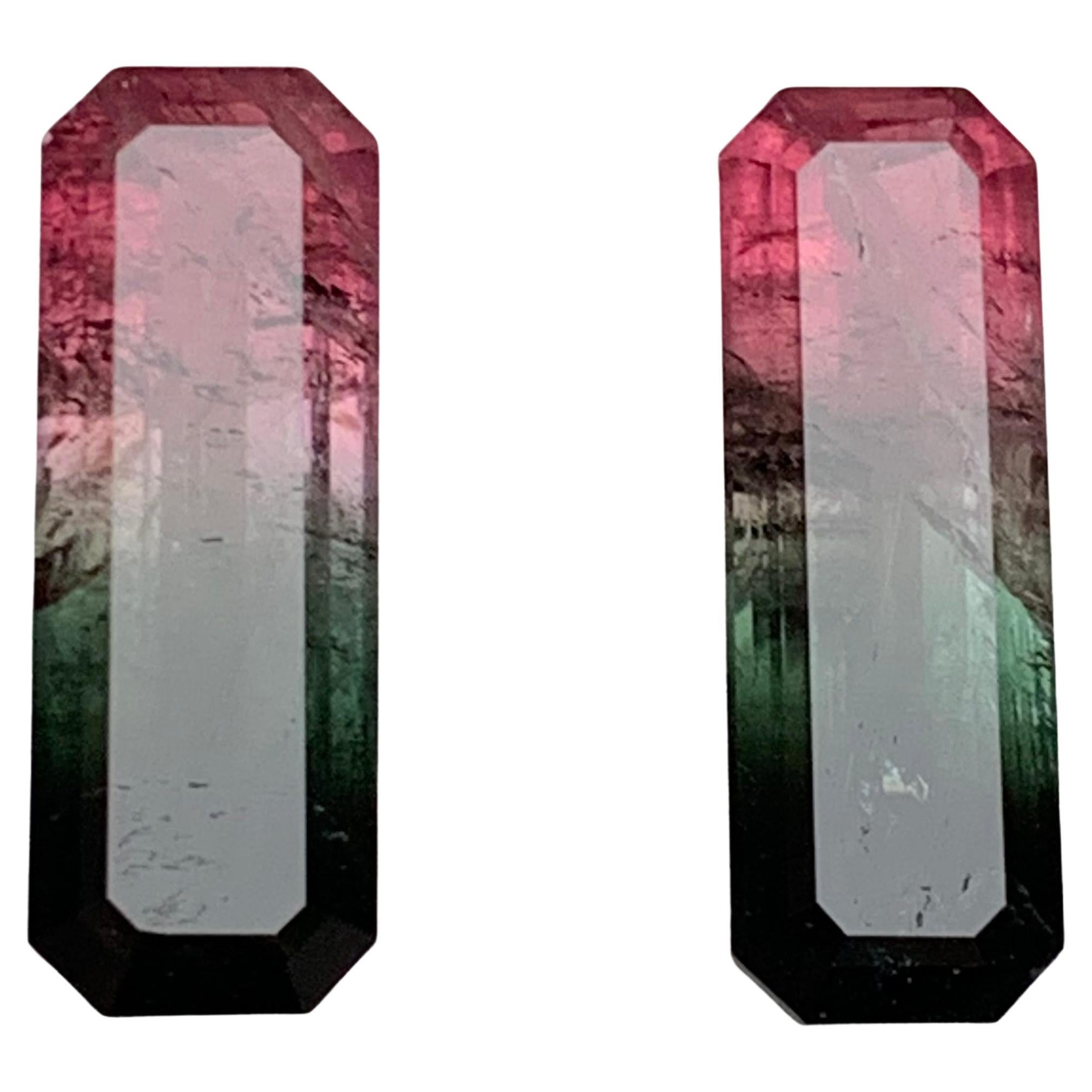 Watermelon Pink Black Bicolor Natural Tourmaline Loose Gemstones Pair 21.75 Ct For Sale