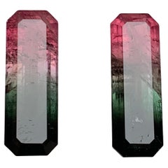 Watermelon Pink Black Bicolor Natural Tourmaline Loose Gemstones Pair 21.75 Ct