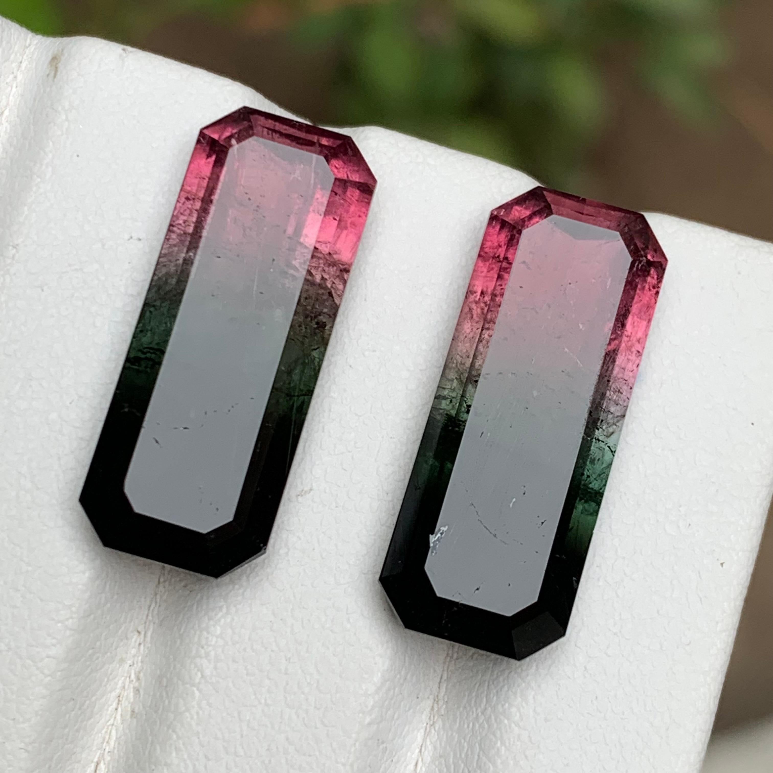 Watermelon Rosa Schwarz Bicolor Natürlicher Turmalin Lose Edelsteine Paar 29.50 Karat im Angebot 4