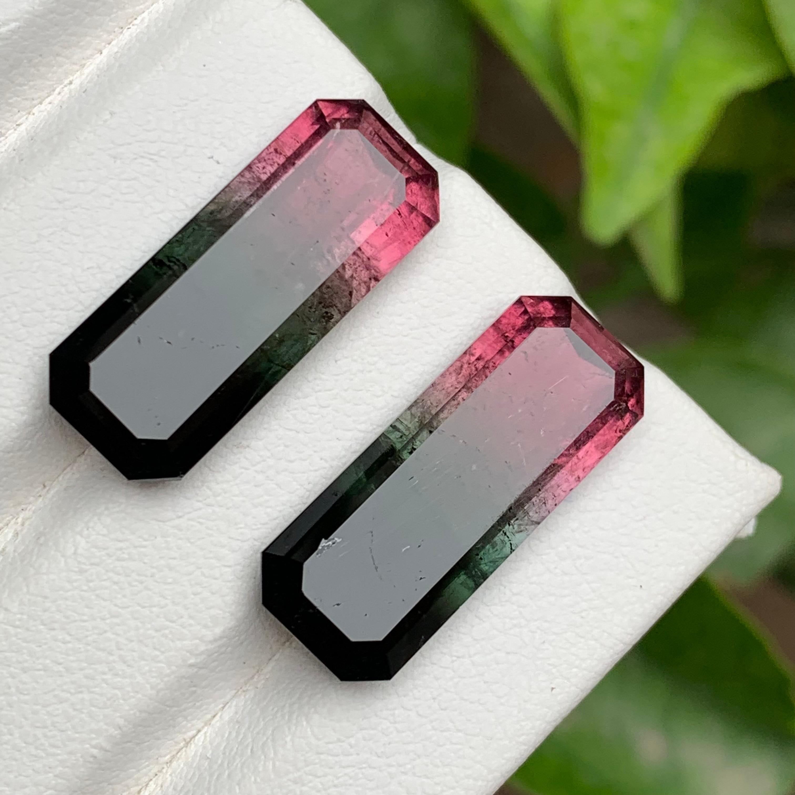 Watermelon Rosa Schwarz Bicolor Natürlicher Turmalin Lose Edelsteine Paar 29.50 Karat im Angebot 6