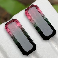 Watermelon Pink Black Bicolor Natural Tourmaline Loose Gemstones Pair 29.50 Ct