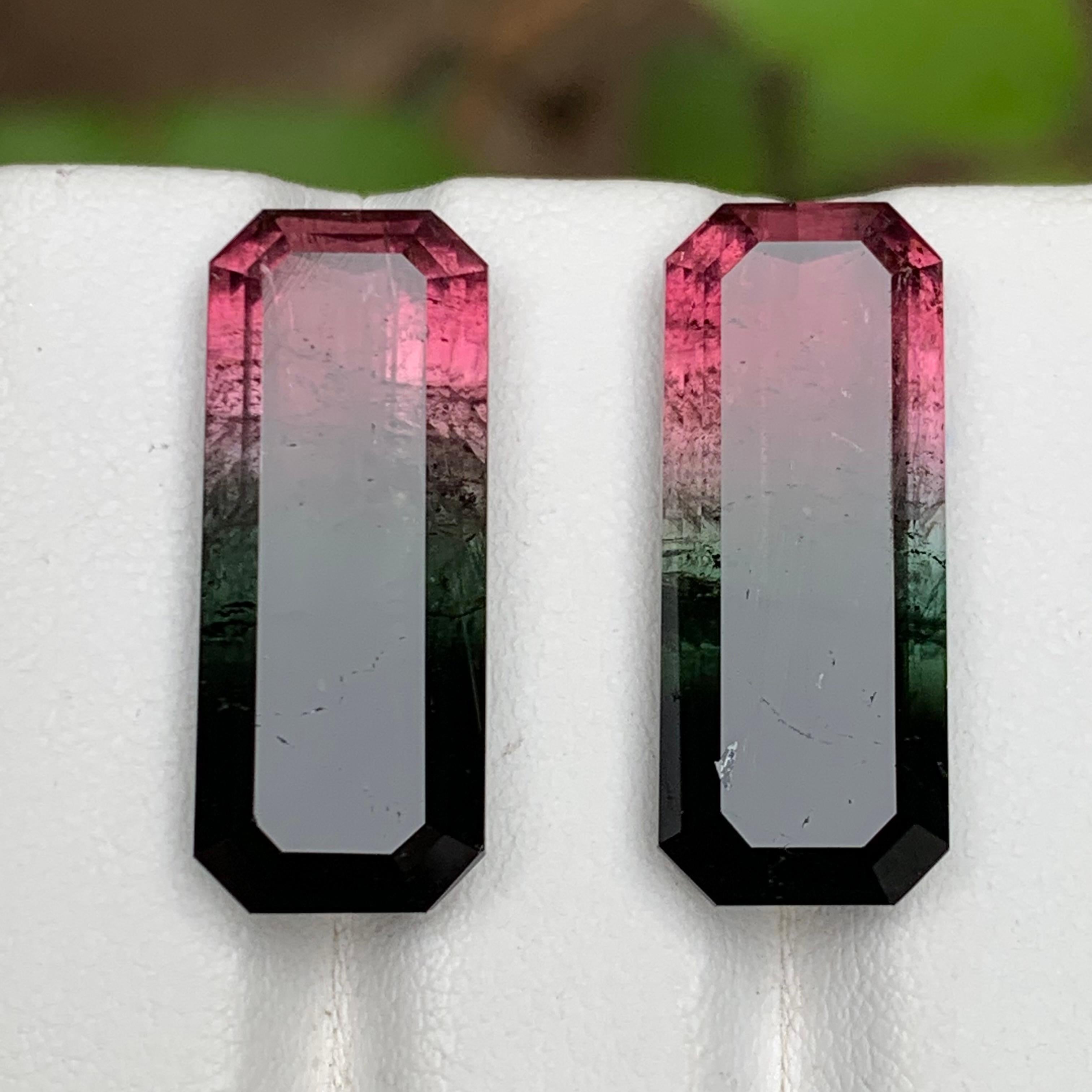 Watermelon Rosa Schwarz Bicolor Natürlicher Turmalin Lose Edelsteine Paar 29.50 Karat (Zeitgenössisch) im Angebot