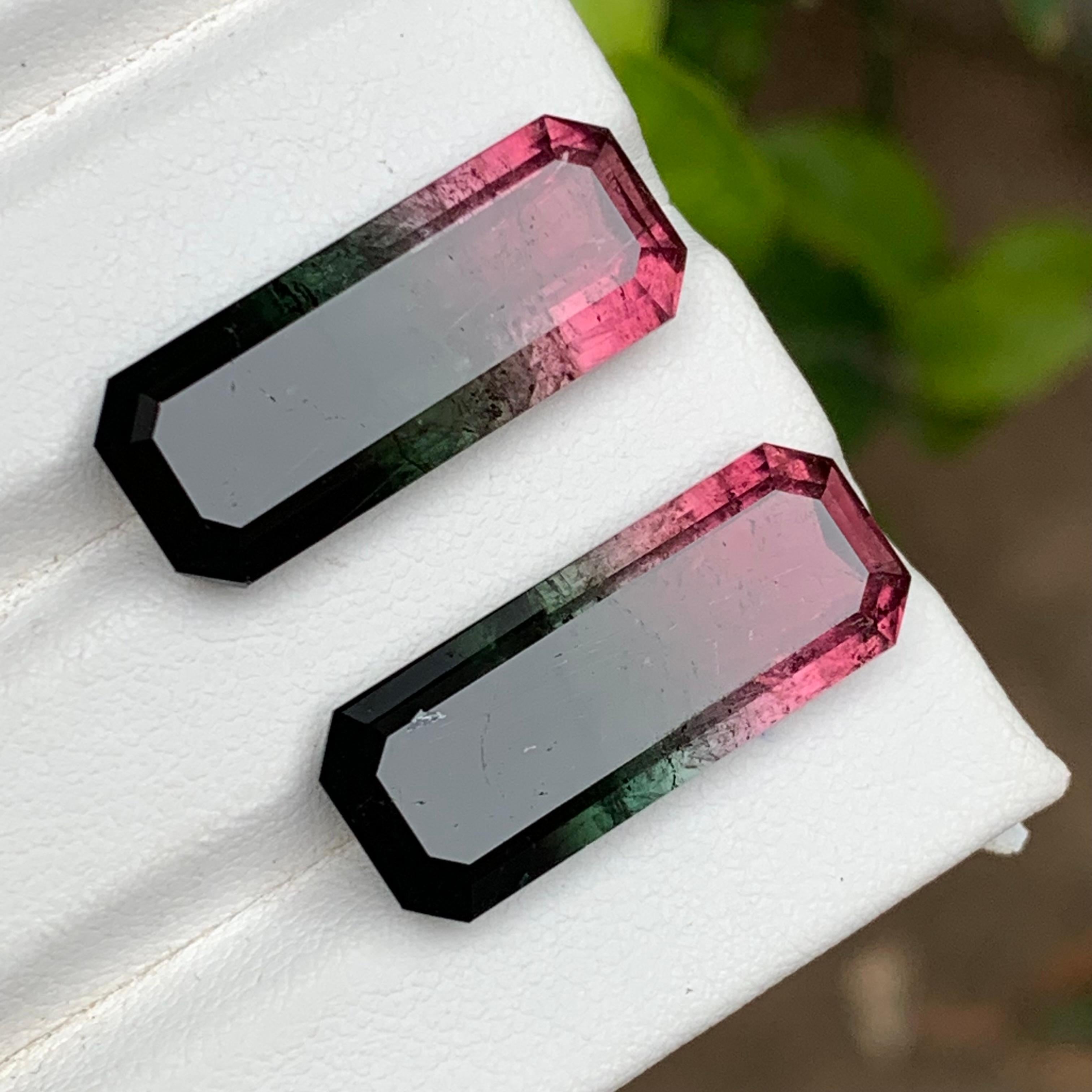 Watermelon Rosa Schwarz Bicolor Natürlicher Turmalin Lose Edelsteine Paar 29.50 Karat (Smaragdschliff) im Angebot
