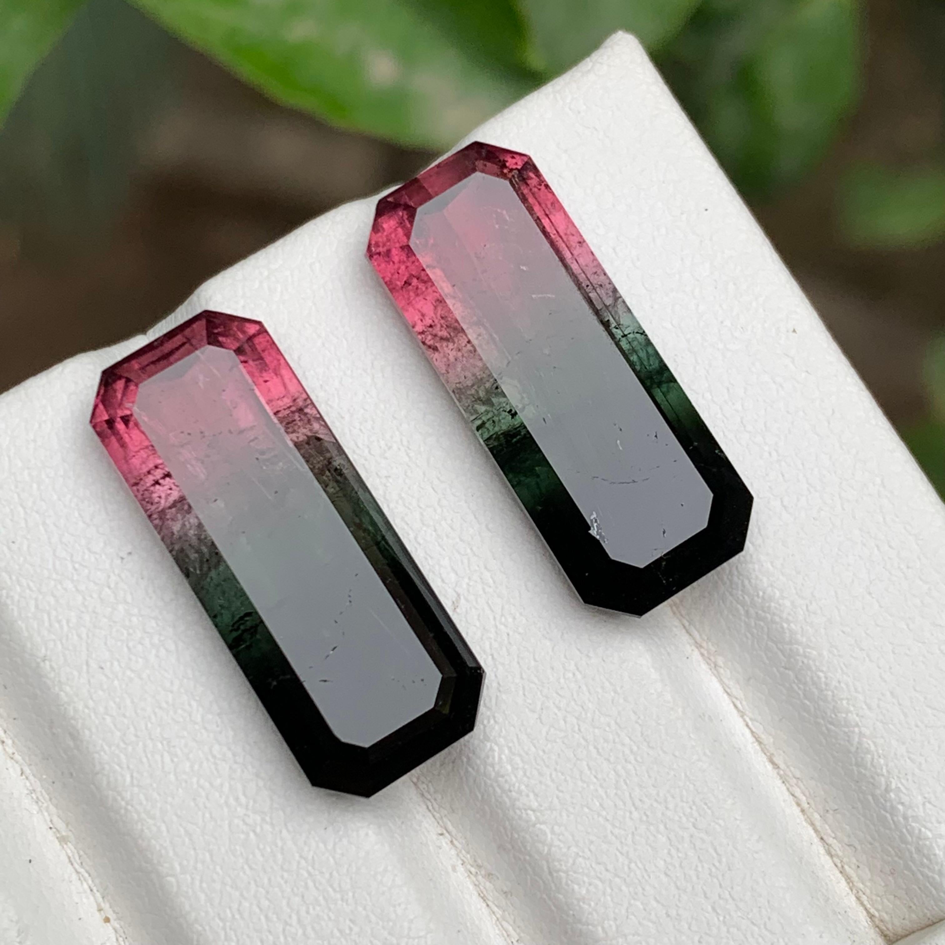 Watermelon Rosa Schwarz Bicolor Natürlicher Turmalin Lose Edelsteine Paar 29.50 Karat im Angebot 1