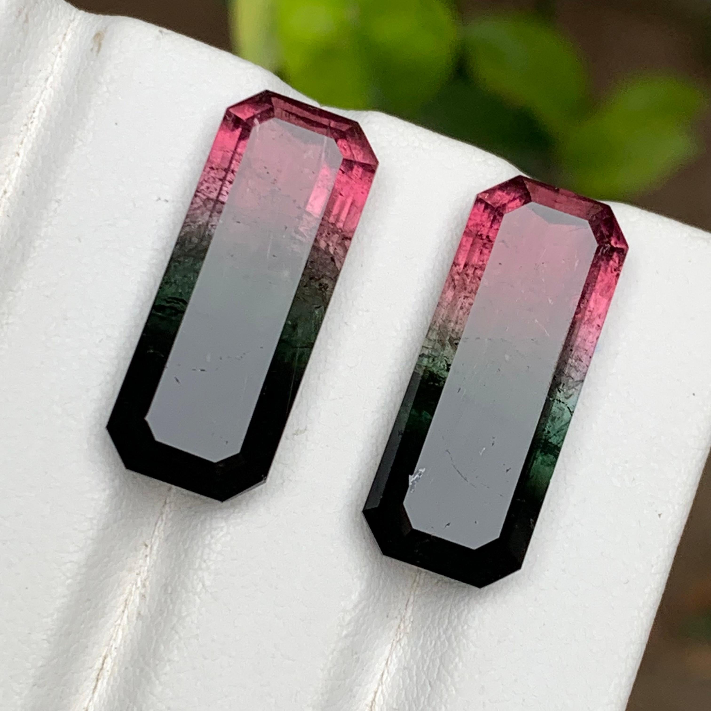 Watermelon Rosa Schwarz Bicolor Natürlicher Turmalin Lose Edelsteine Paar 29.50 Karat im Angebot 2