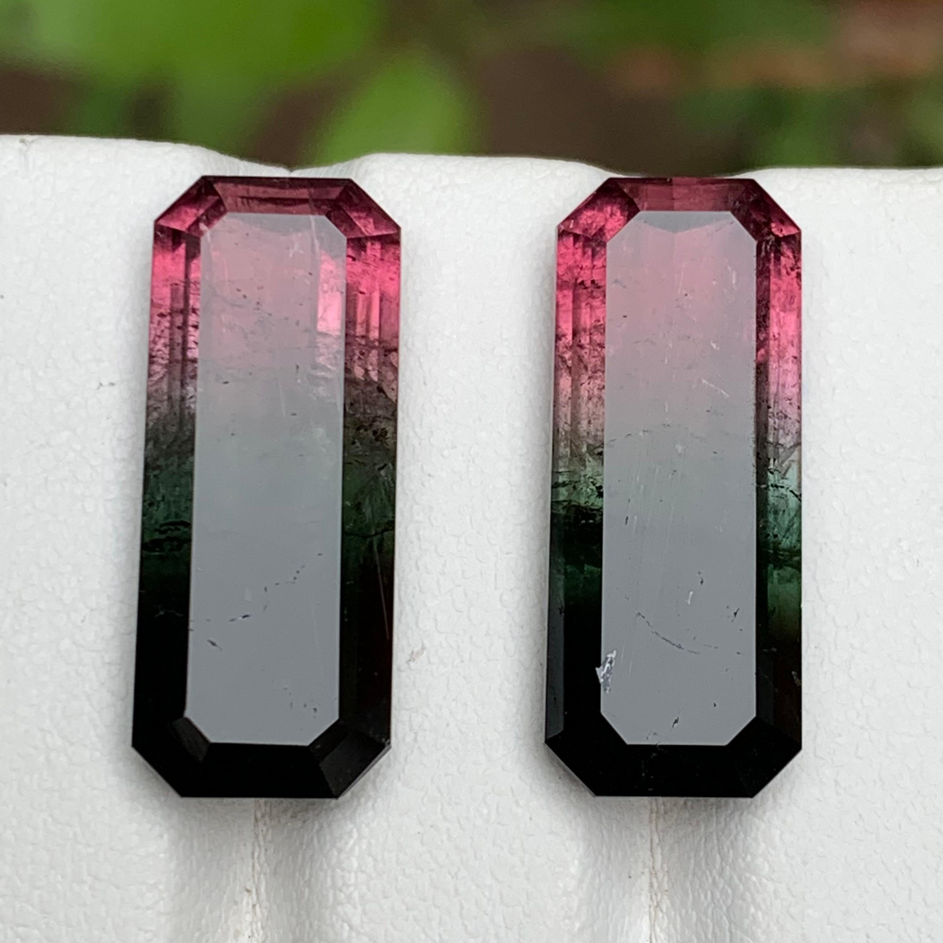 Watermelon Rosa Schwarz Bicolor Natürlicher Turmalin Lose Edelsteine Paar 29.50 Karat im Angebot 3