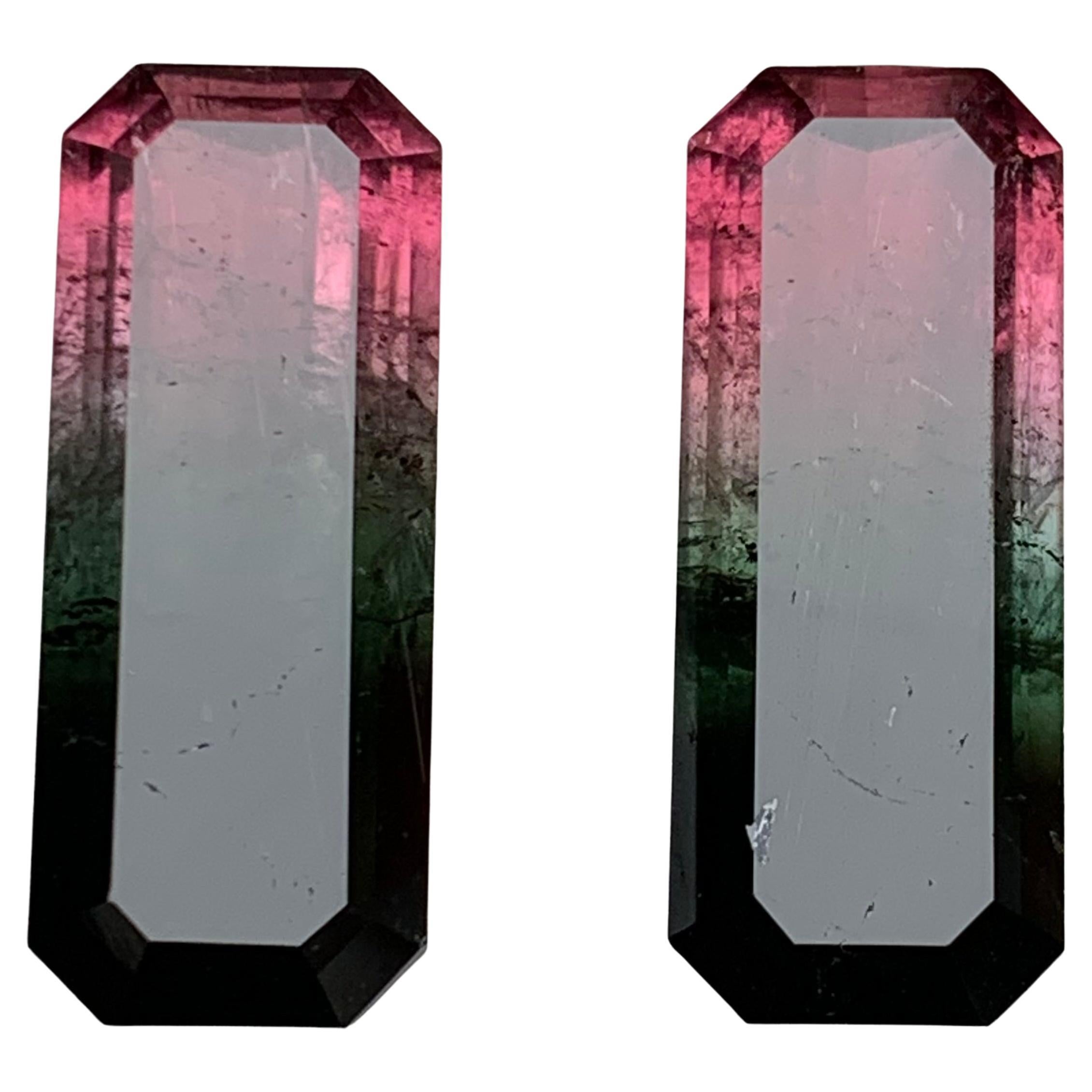Watermelon Pink Black Bicolor Natural Tourmaline Loose Gemstones Pair 29.50 Ct