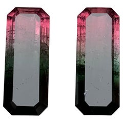 Watermelon Pink Black Bicolor Natural Tourmaline Loose Gemstones Pair 29.50 Ct