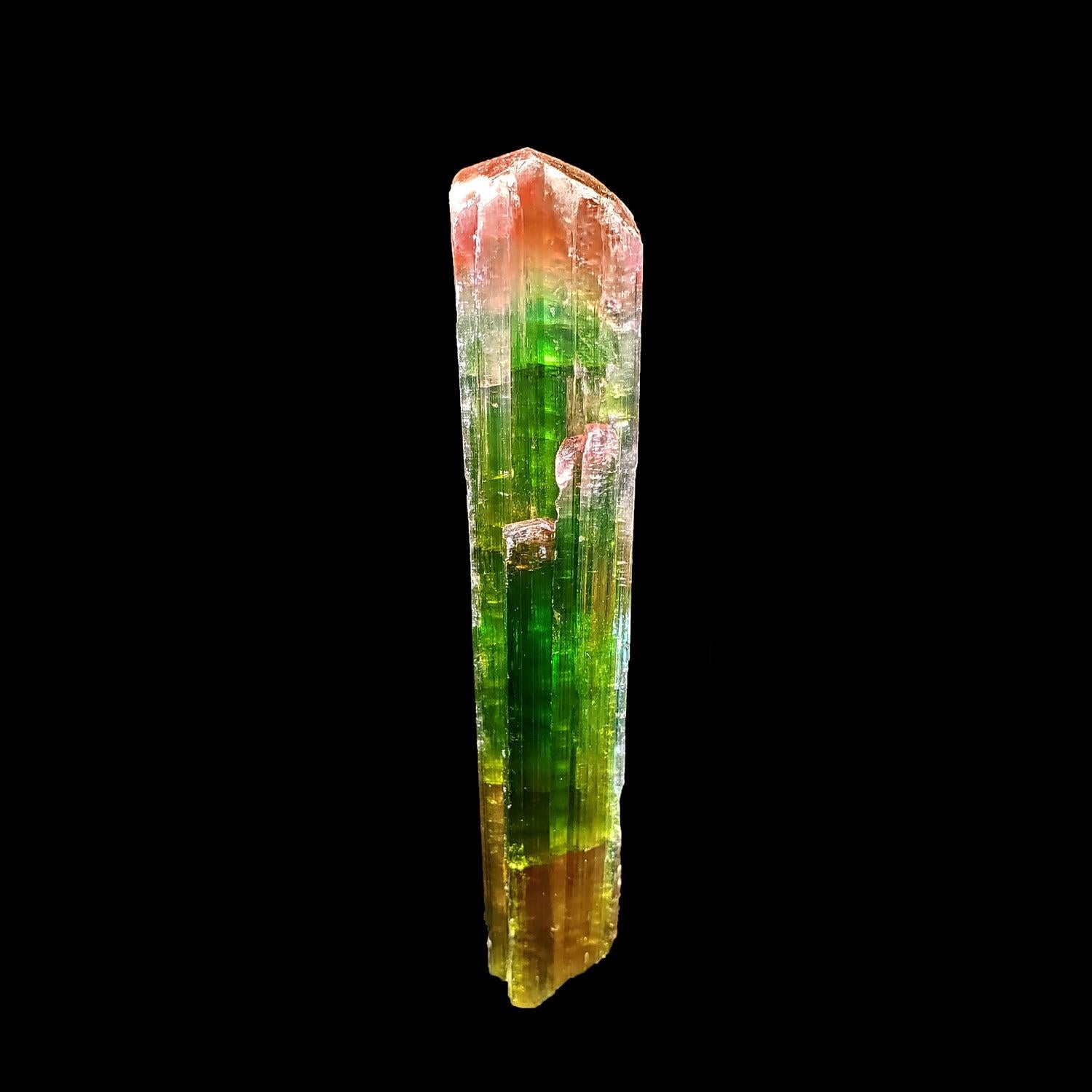 Este ejemplar es una magnífica turmalina sandía procedente de Paprok, Afganistán. Tiene un hermoso fondo teñido de púrpura con un centro verde luminoso y un capuchón rosa. Esta pieza tiene un brillo asombroso y unos colores profundos y contrastados.