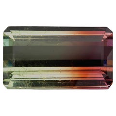 Tourmaline melon d'eau // 51,95 carats