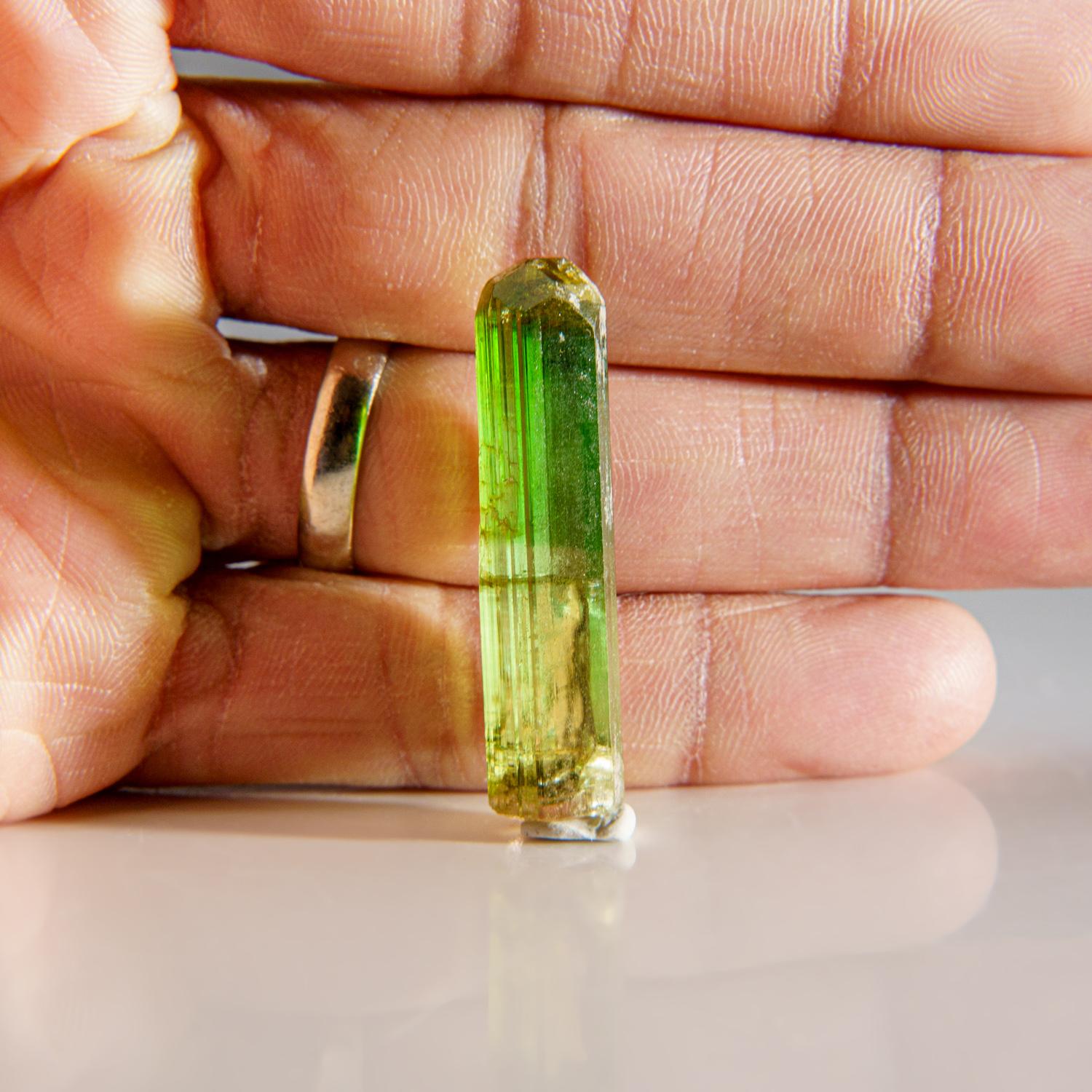 Other Watermelon Tourmaline from Paprok, Nuristan, Afghanistan For Sale