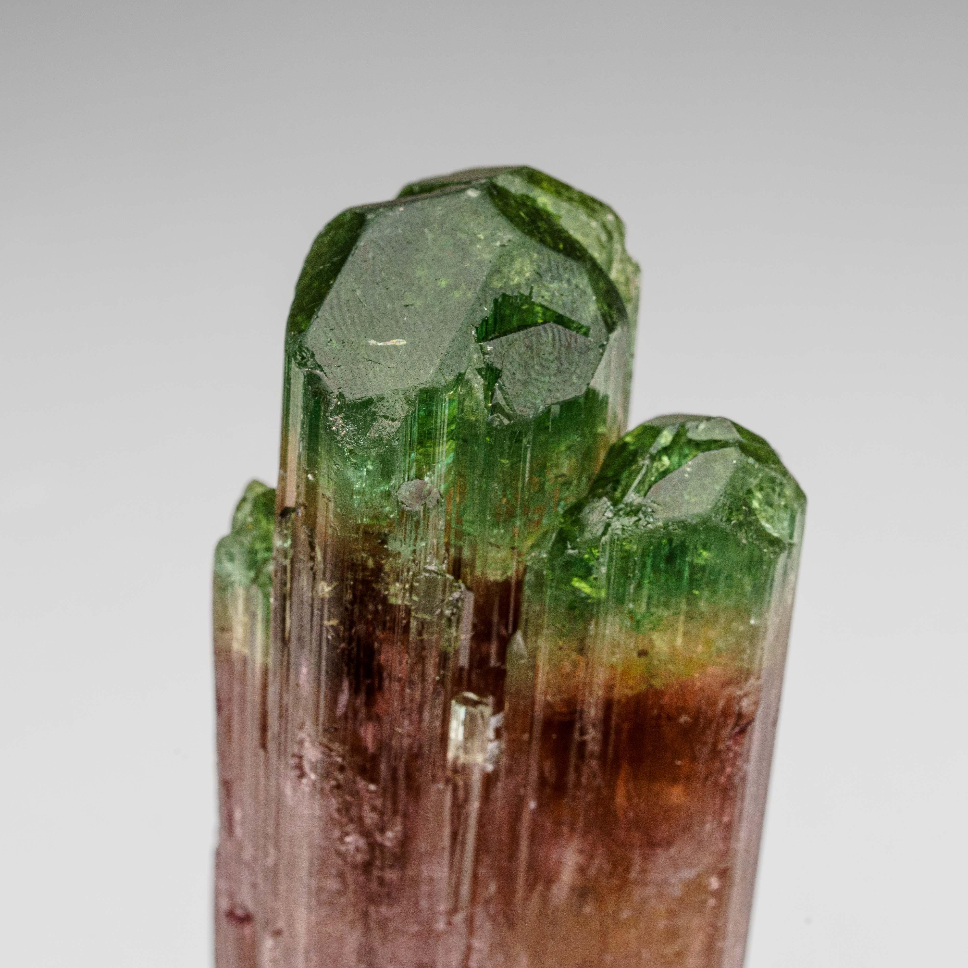 From Rubaya, Masisi, North Kivu, Democratic Republic of the Congo

Lustrous transparent bi-colored elbaite tourmaline crystal with no matrix attached. The elbaite crystal is mostly pink rubellite, the pink gem variety of elbaite, with green
