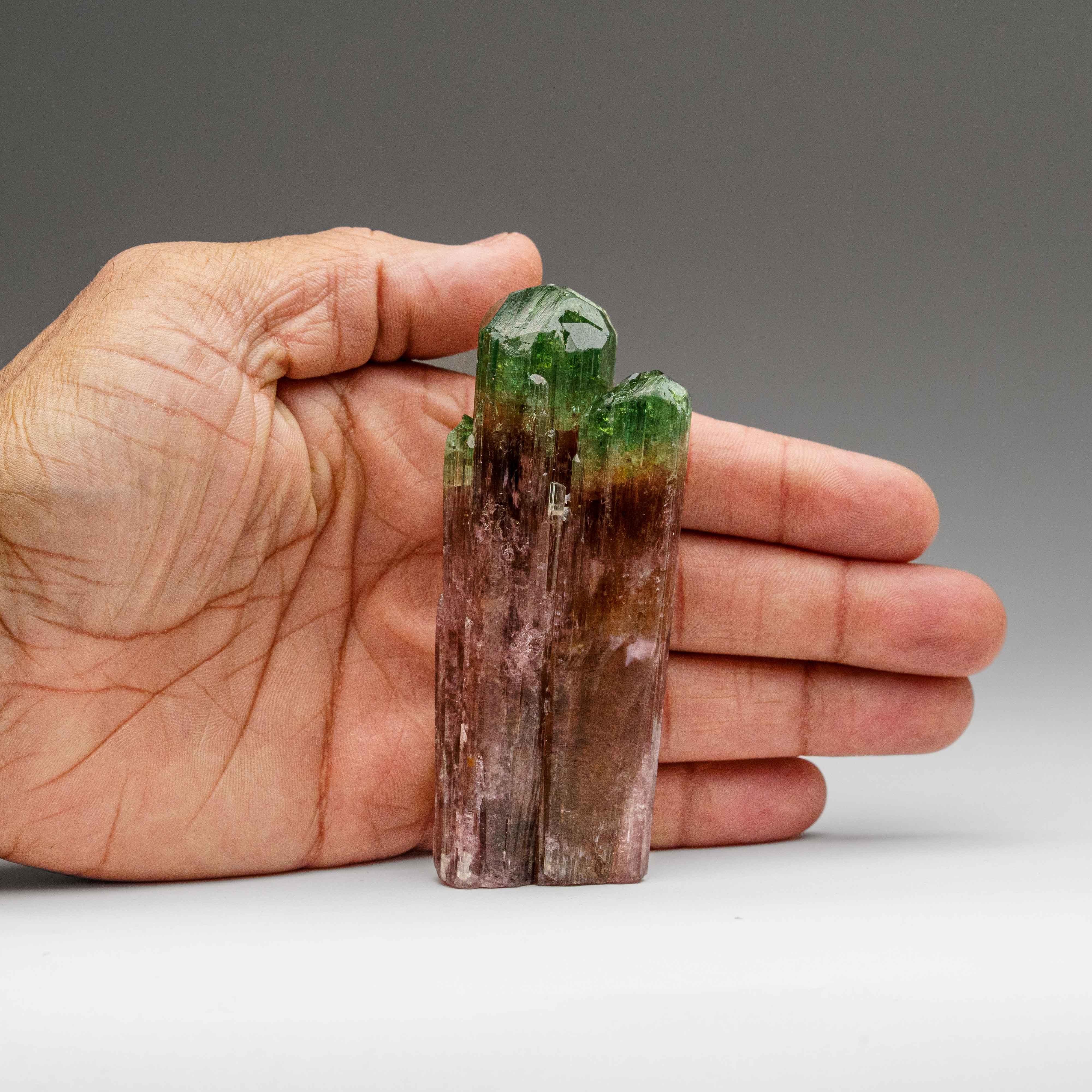 Congolese Watermelon Tourmaline from Rubaya, Democratic Republic of the Congo For Sale
