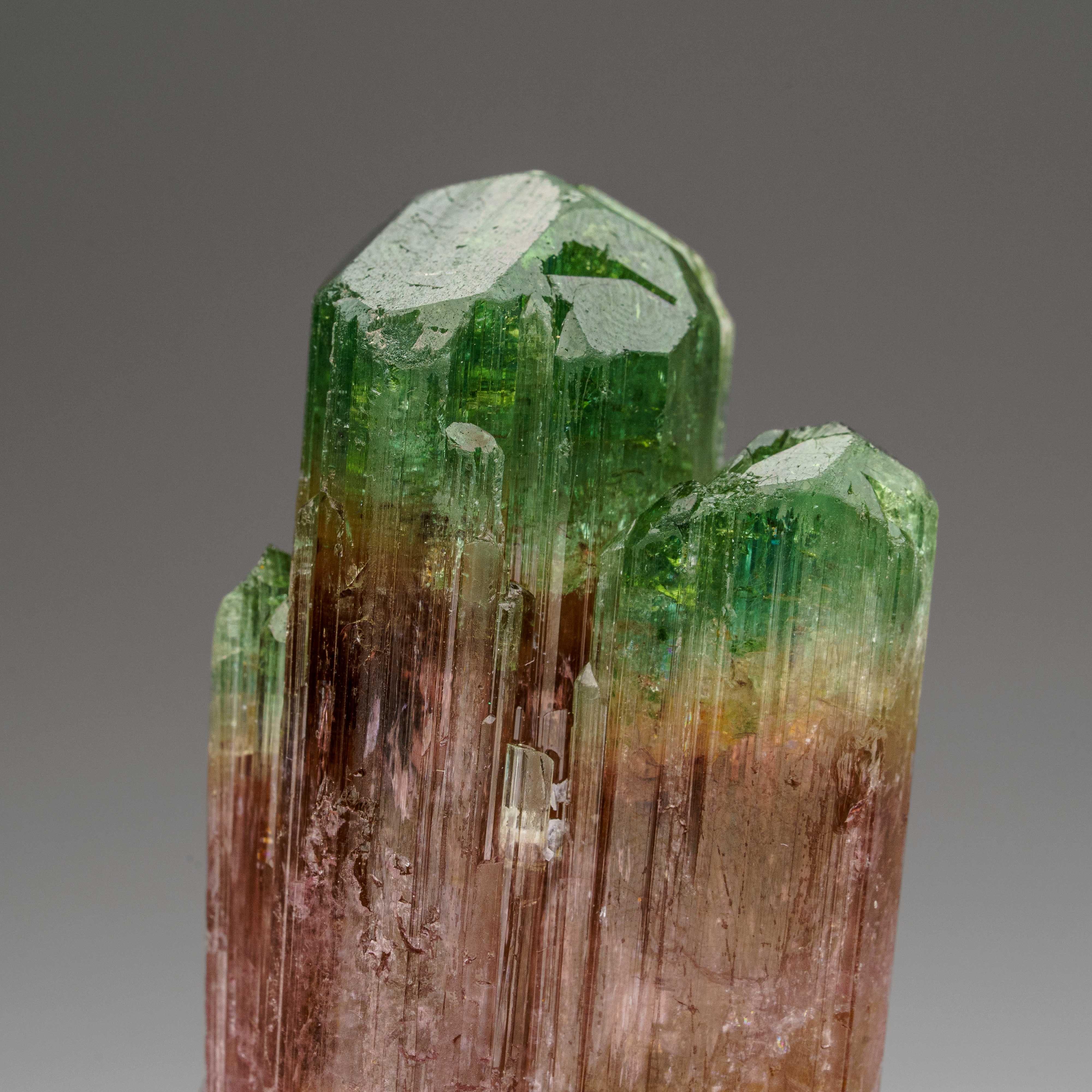 Watermelon Tourmaline from Rubaya, Democratic Republic of the Congo In Excellent Condition For Sale In New York, NY