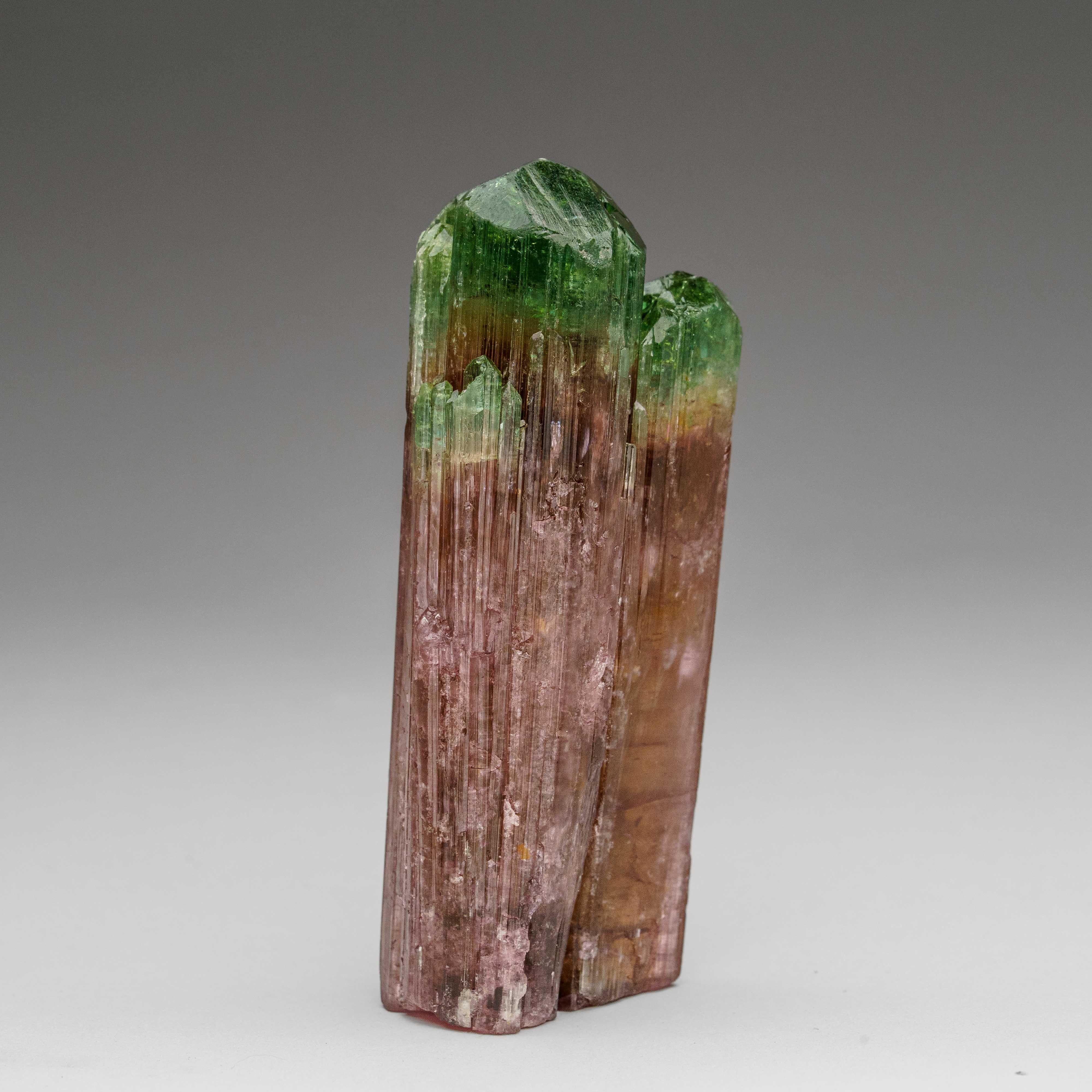 Watermelon Tourmaline from Rubaya, Democratic Republic of the Congo For Sale 1