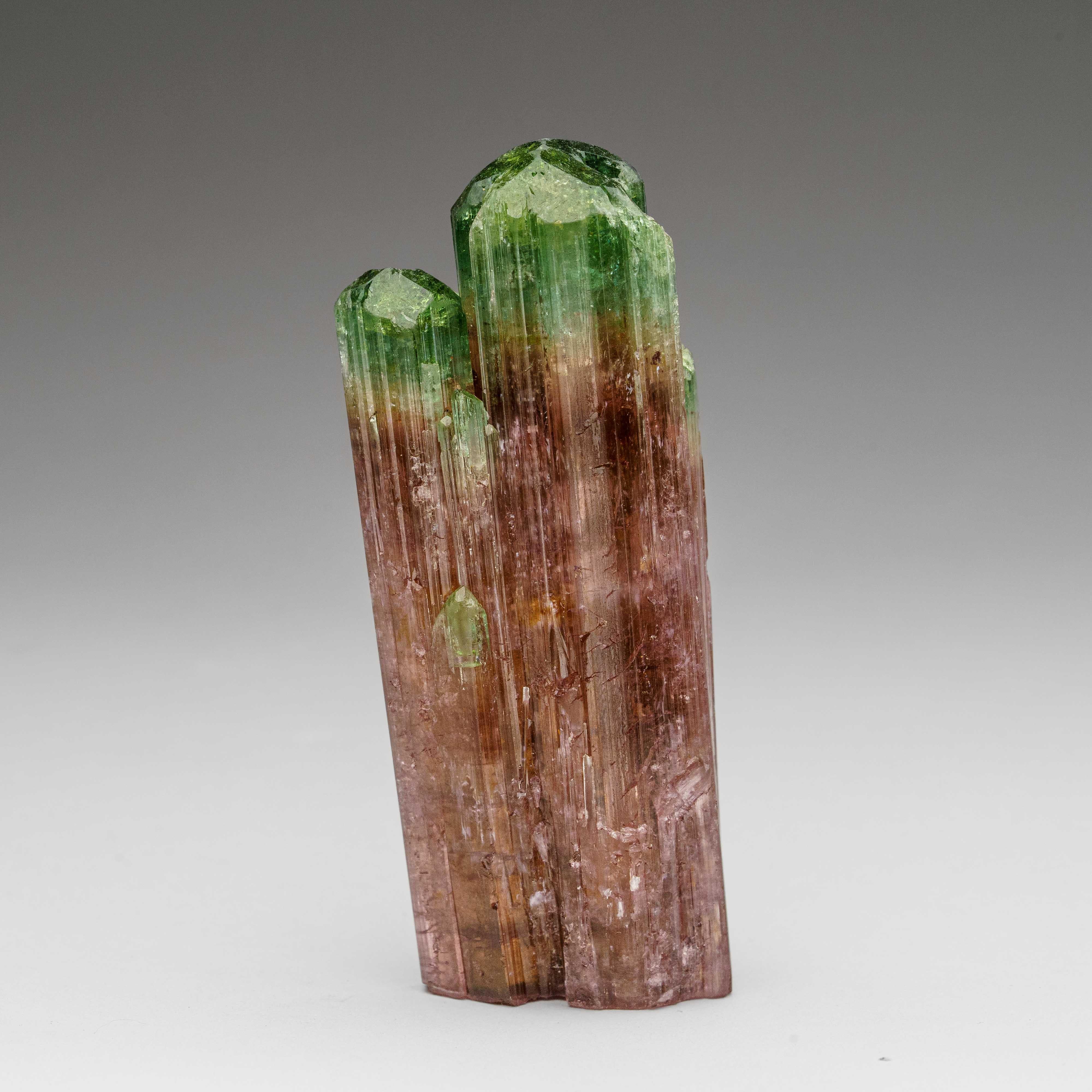 Watermelon Tourmaline from Rubaya, Democratic Republic of the Congo For Sale 2