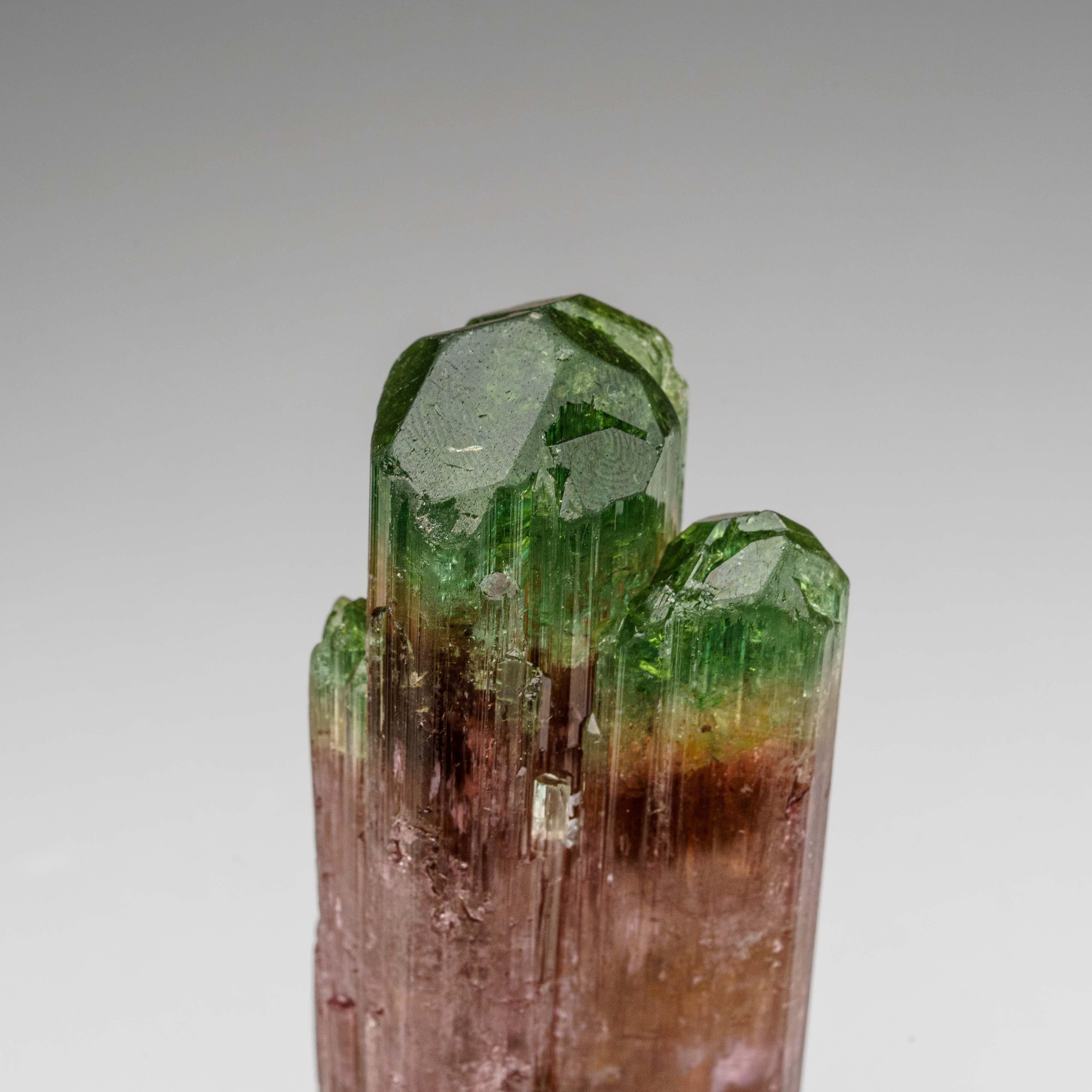 Watermelon Tourmaline from Rubaya, Democratic Republic of the Congo For Sale 3