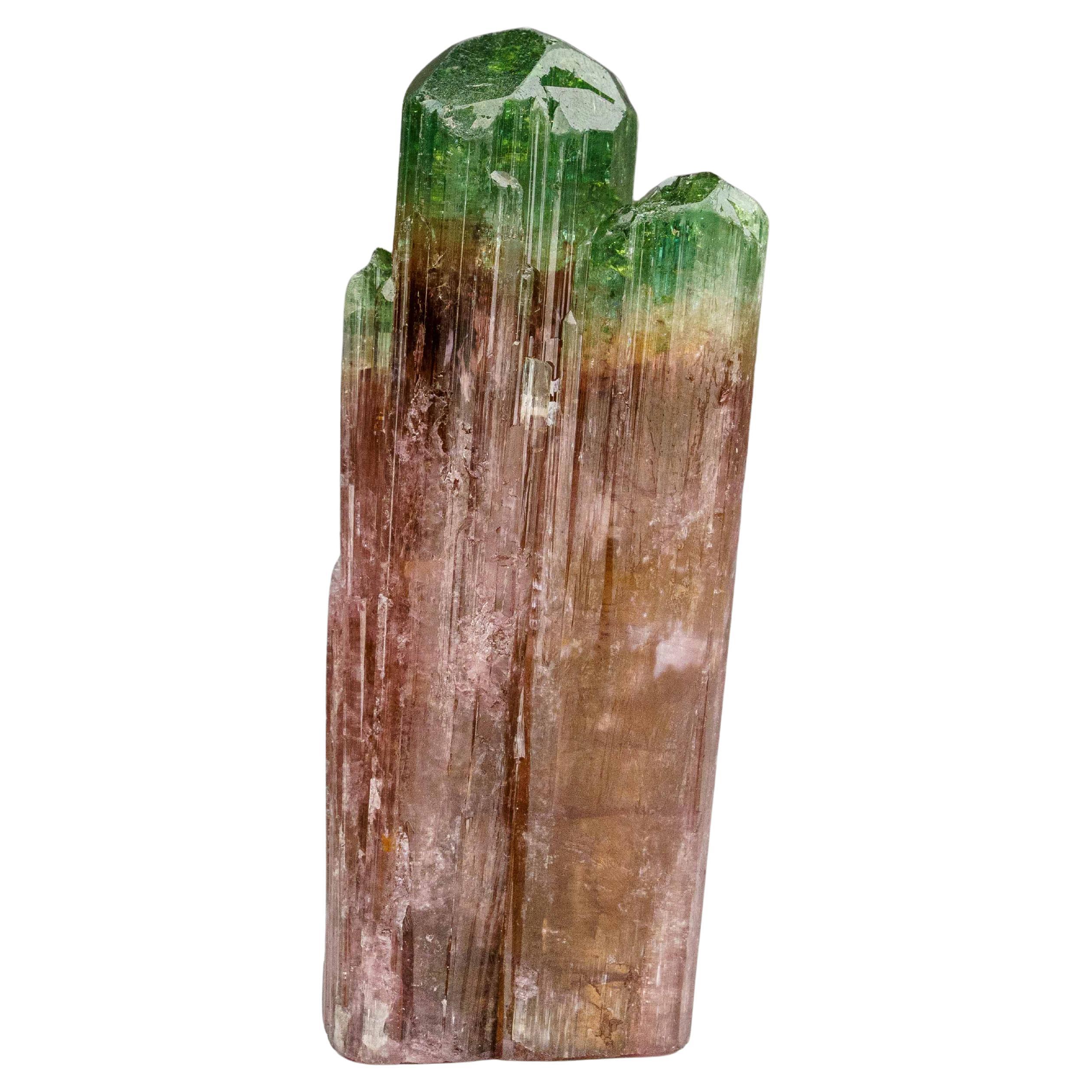 Tourmaline melon d'eau de Rubaya, République démocratique du Congo