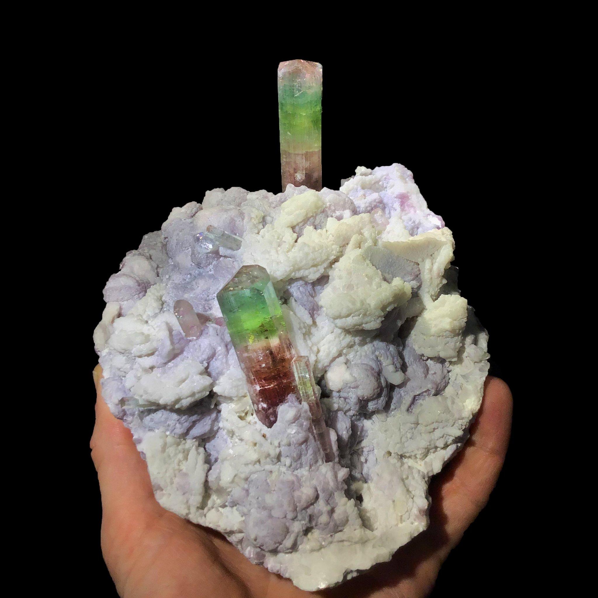 Paprok Nuristan, Afghanistan

This stunning specimen features two large, fully terminated watermelon tourmaline crystals showcasing nearly the entire rainbow spectrum, set beautifully in a matrix of purple lepidolite and additional smaller