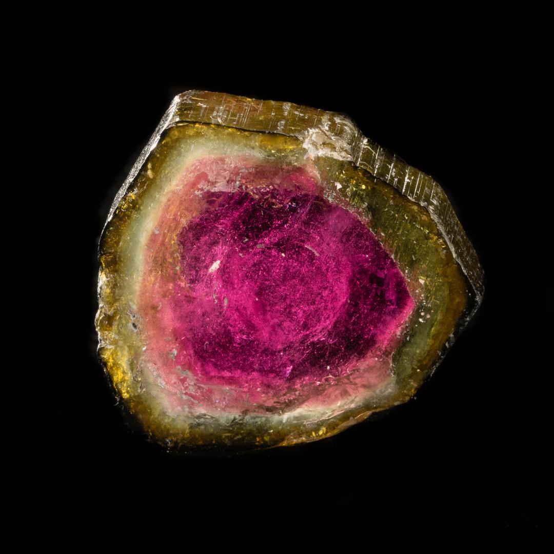 Watermelon Tourmaline Slice // 6.34 Grams In New Condition For Sale In New York, NY