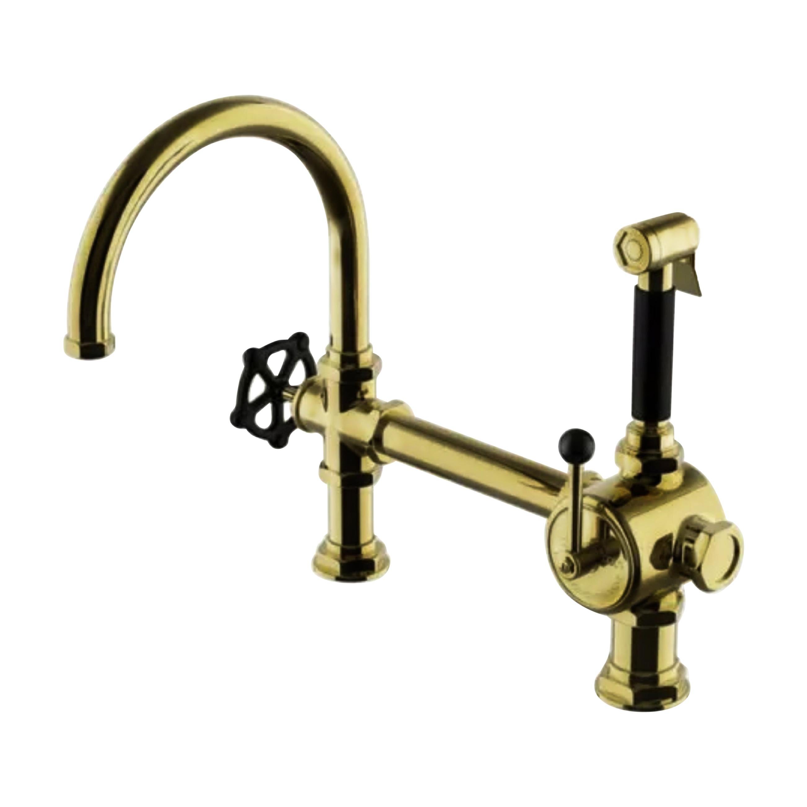 Waterworks Regulator Gooseneck Brass Kitchen Faucet, Spray, Black