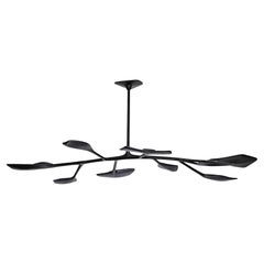"Watiya Juta" - Lampadario, scultoreo, contemporaneo, a forma di foglia - Ebanizzato