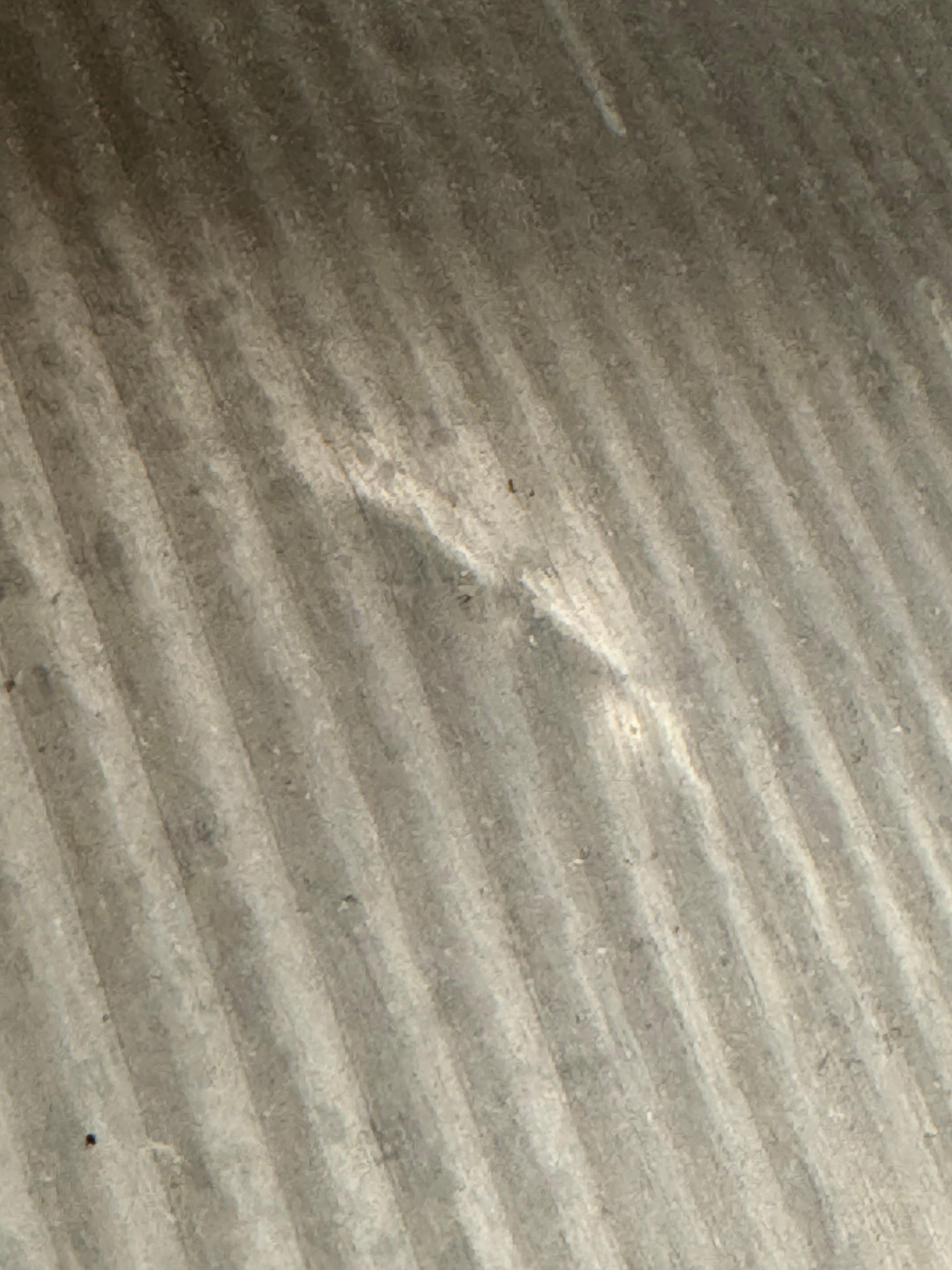 Wave panel from Jean  Prouvé “onde” circa 1954 6