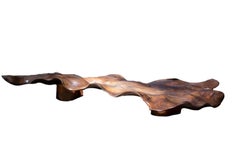 Wave Antique Exotic Wood Organic Sculpture Table by CEU Studio Indoor - Outdoor
