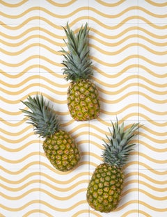 Wavey Tuscan Swan Encaustic Cement Tile by Aimee Wilder, Modern Design