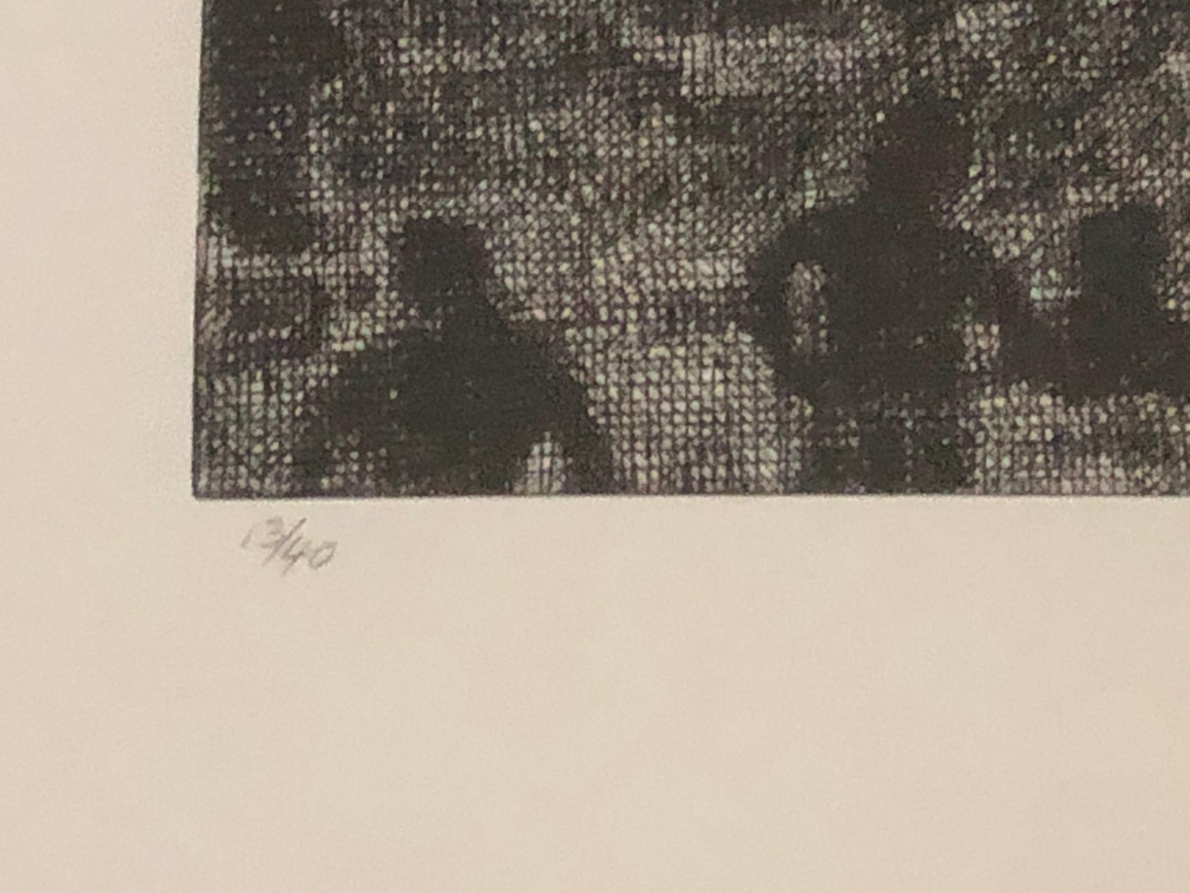 Wayne Gonzales-'Beach' from CROWD portfolio-Etching- Signed For Sale 4