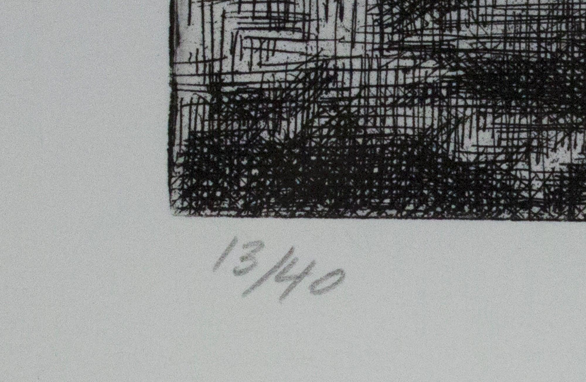 Wayne Gonzales -'Homes' from the CROWD portfolio 2014- Etching- Signed For Sale 2