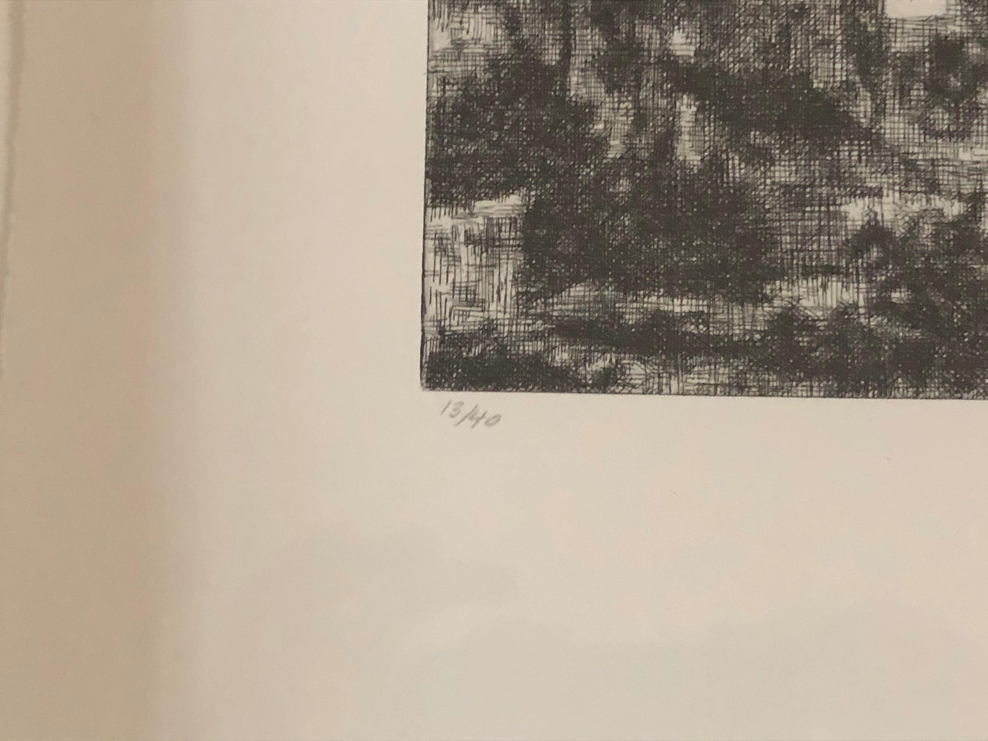 Wayne Gonzales -'Homes' from the CROWD portfolio 2014- Etching- Signed For Sale 4