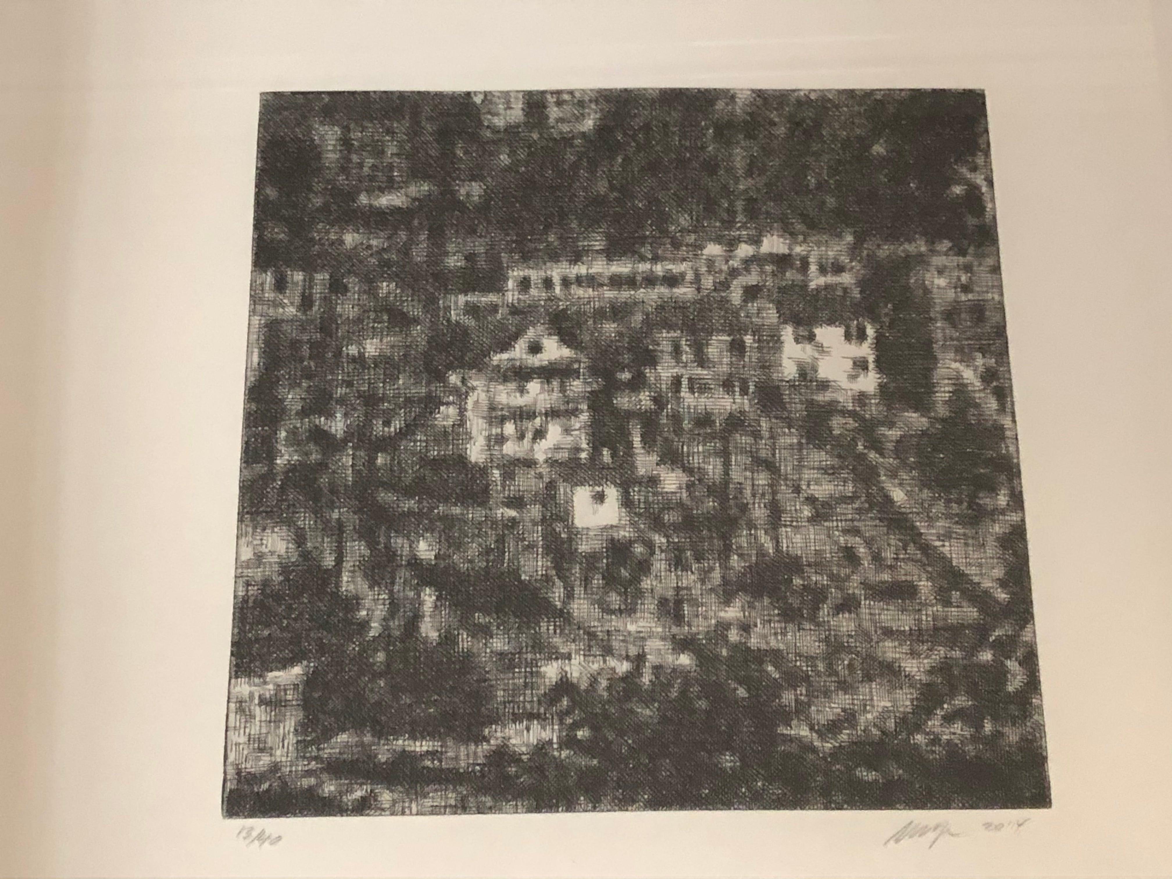 Wayne Gonzales -'Homes' from the CROWD portfolio 2014- Etching- Signed For Sale 6
