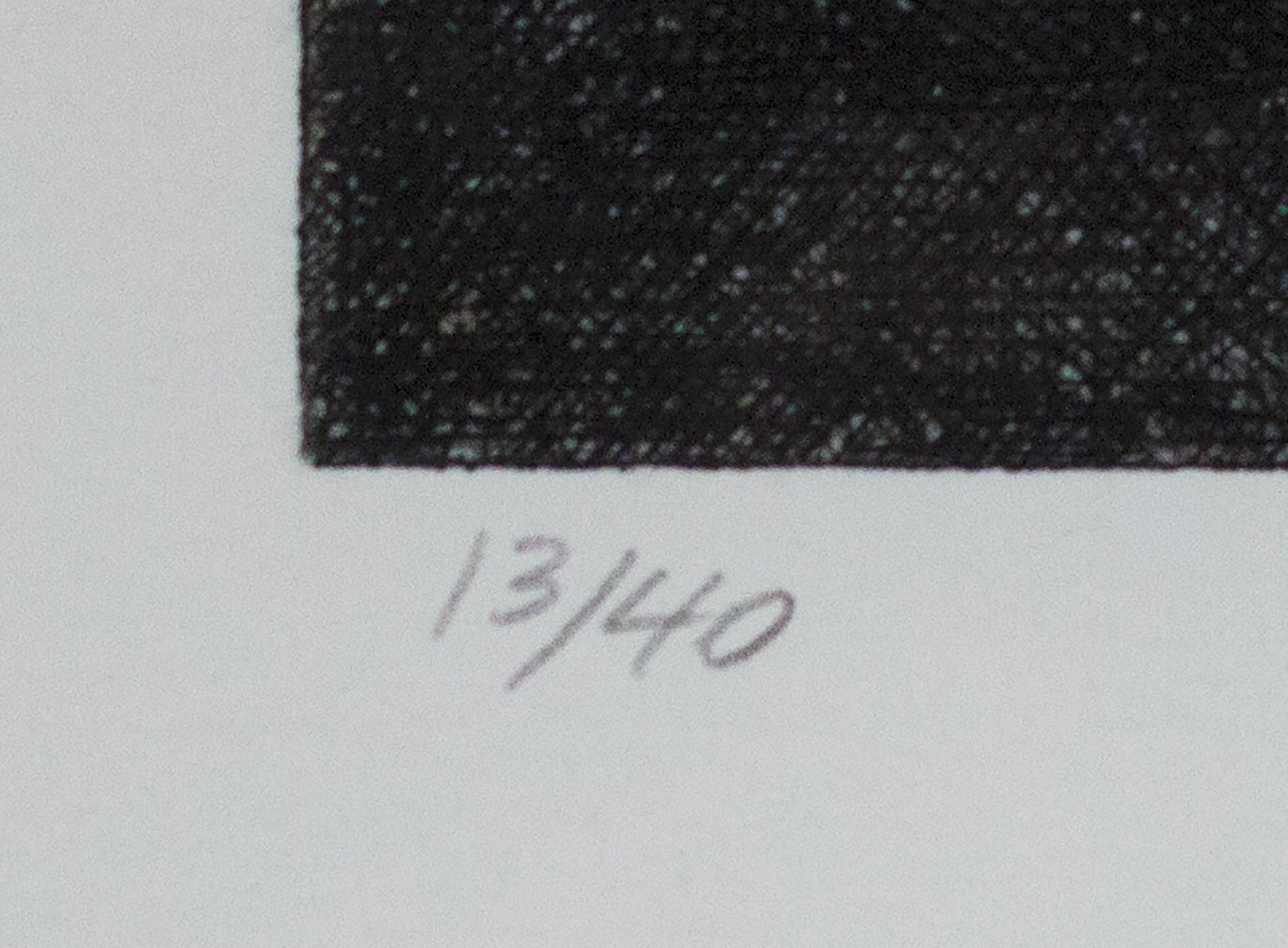 Wayne Gonzales- 'Park' from the CROWD portfolio- Etching- Signed For Sale 2
