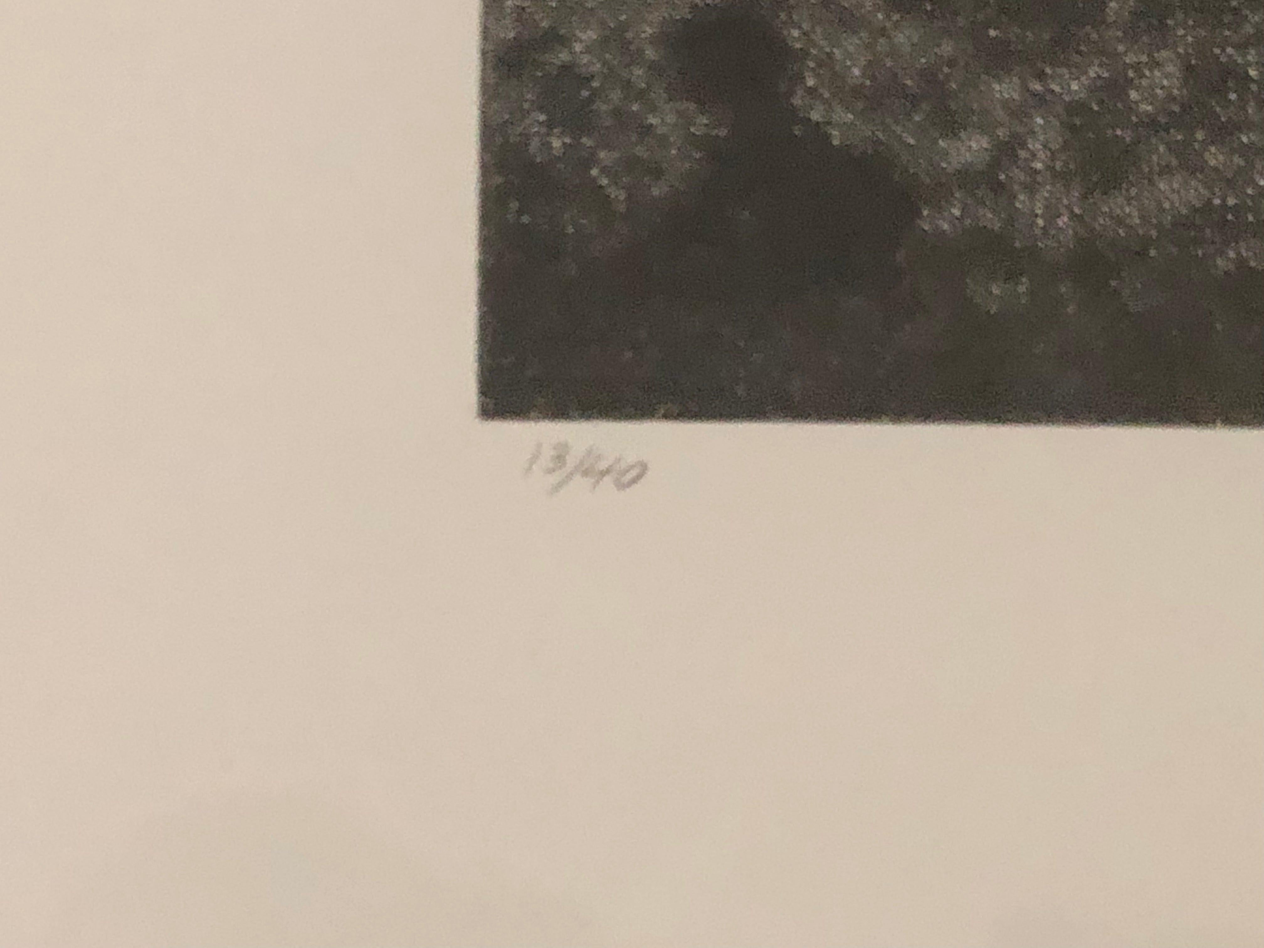 Wayne Gonzales- 'Park' from the CROWD portfolio- Etching- Signed For Sale 4