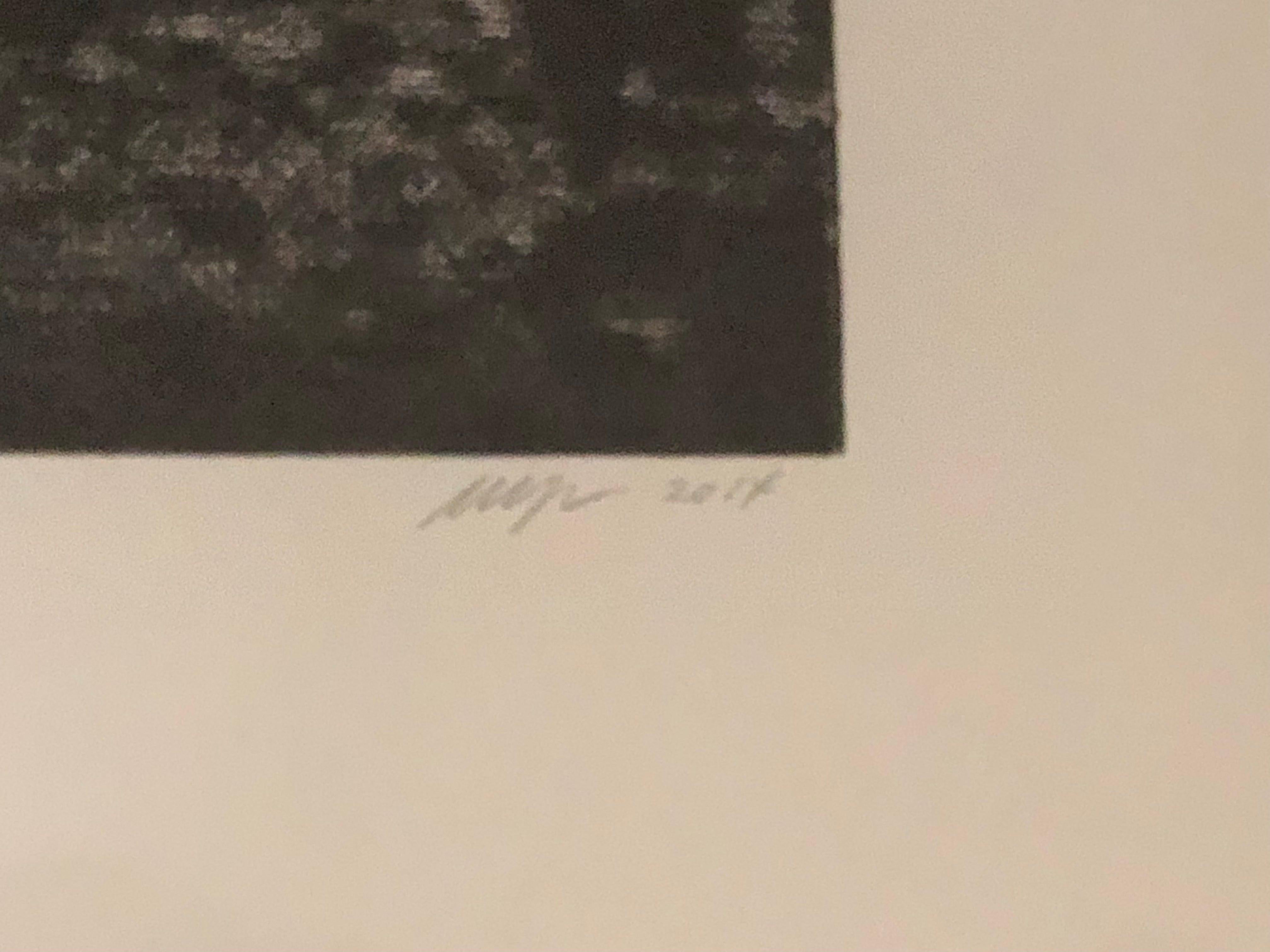 Wayne Gonzales- 'Park' from the CROWD portfolio- Etching- Signed For Sale 5