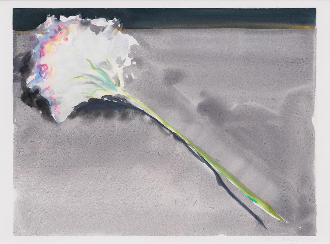 Carnation - Print by Wayne Thiebaud