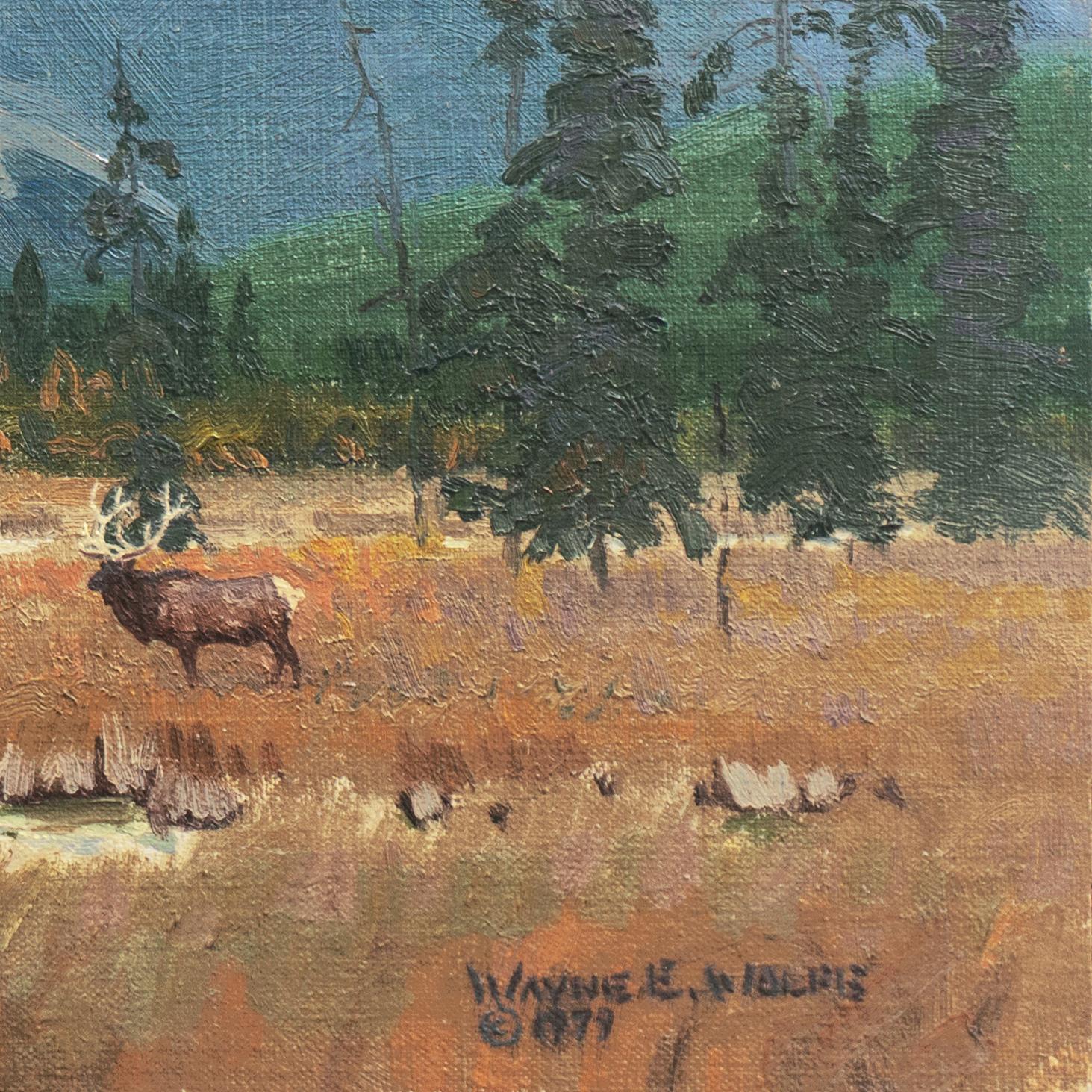 'Elk Grazing, Rocky Mountains', Colorado, Prix de West, Gilcrease Museum - Painting by Wayne Wolfe