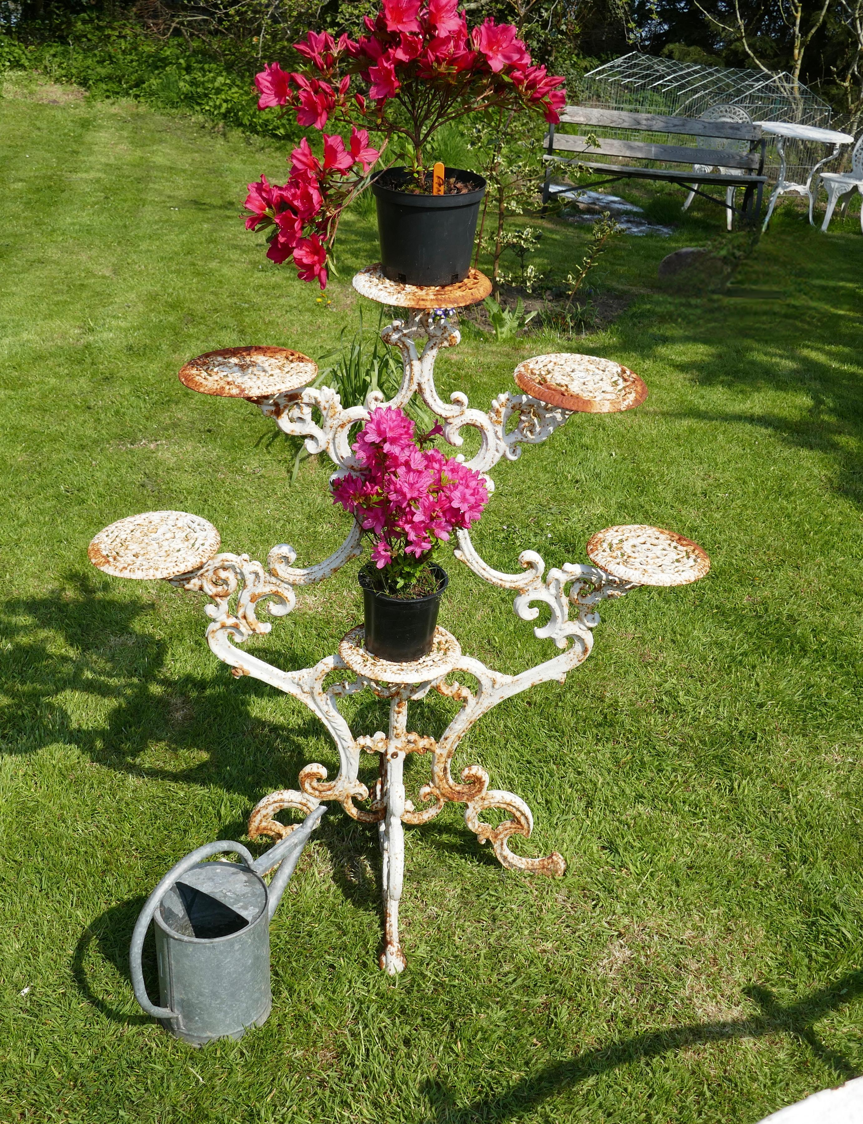 Weathered cast iron 6 branch plant stand.


A truly architectural piece for the garden, the stand is made in Iron so is very heavy, it has 6 branches each with a plant platform at the end of each, it stands on 4 legs so very sturdy

The stand