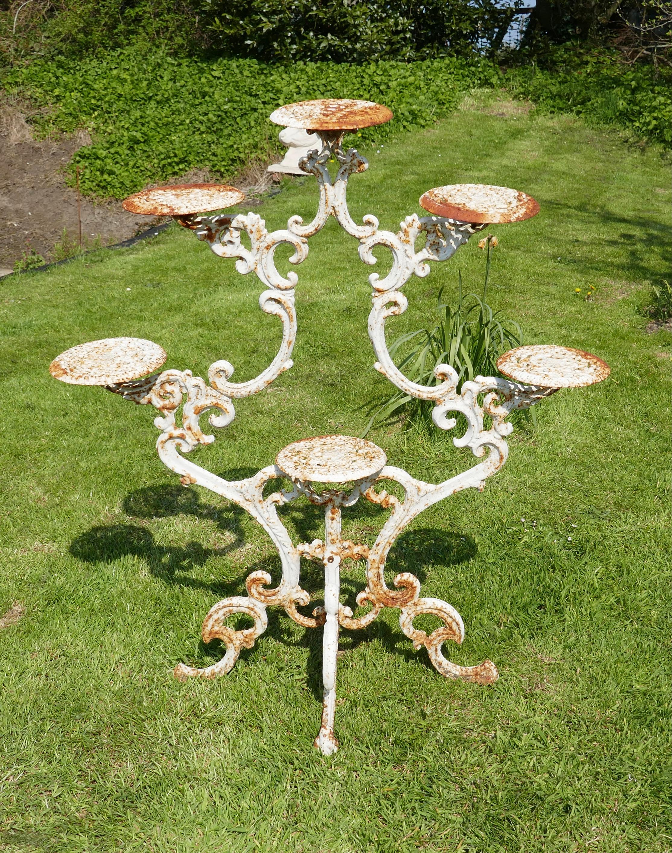 Weathered cast iron 6 branch plant stand.


A truly architectural piece for the garden, the stand is made in Iron so is very heavy, it has 6 branches each with a plant platform at the end of each, it stands on 4 legs so very sturdy

The stand