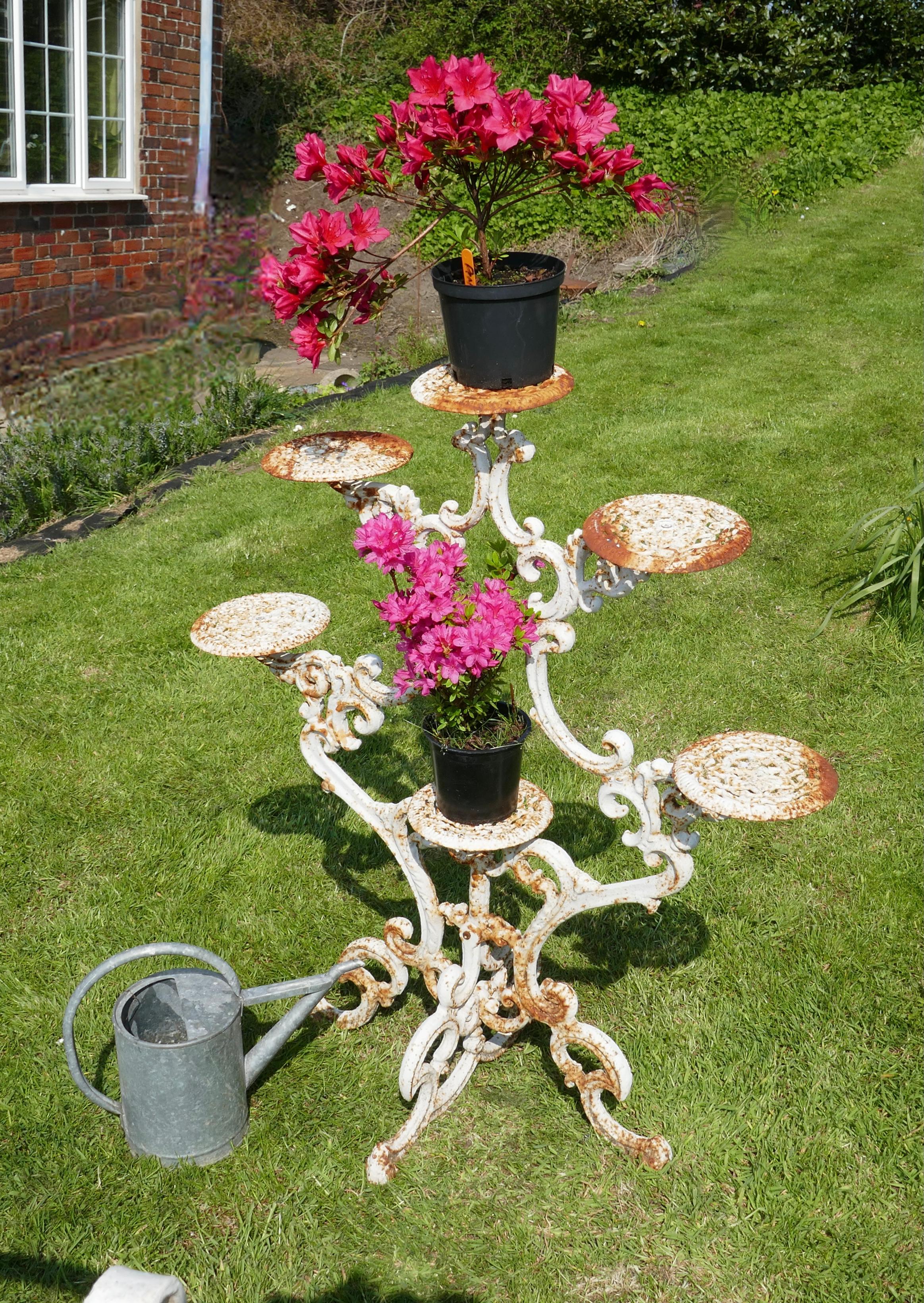 Victorian Weathered Cast Iron 6 Branch Plant Stand
