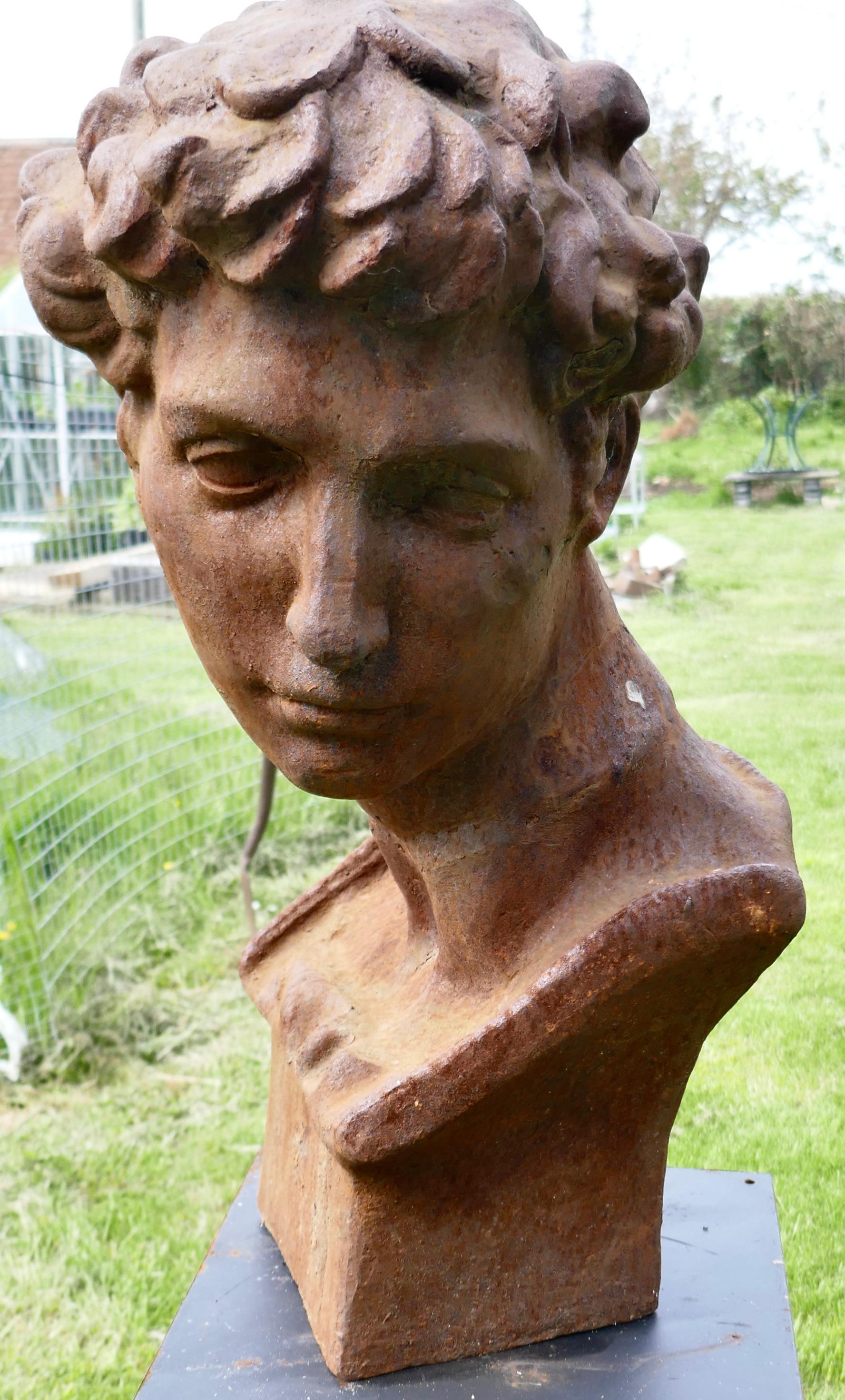 Weathered cast iron statue of Michelangelo's David

A lovely piece for the garden, celebrating “David”
The bust is in good condition with some rust and weathering, it is 24” high and approximately 12” in diameter
GB646.